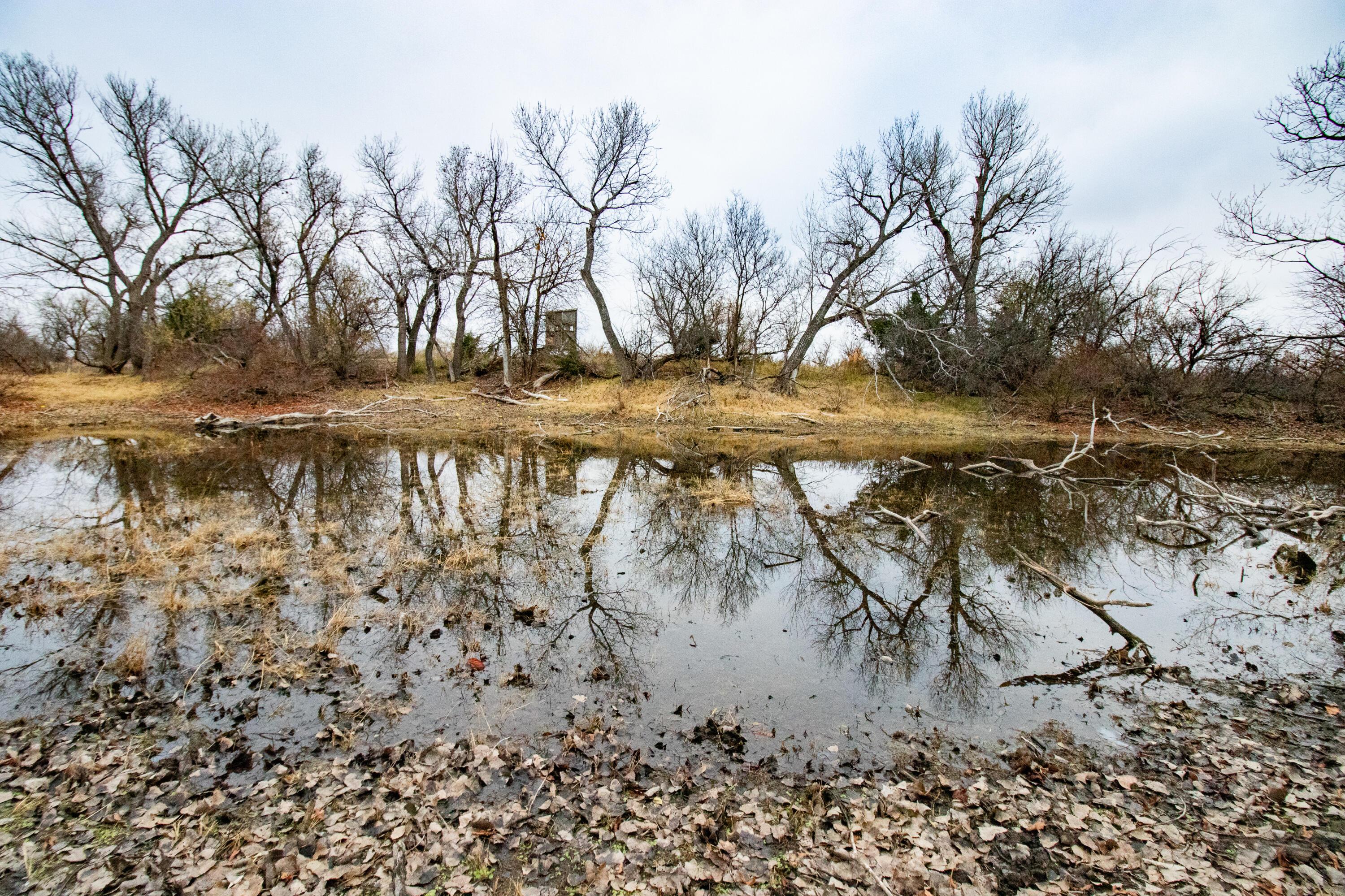 Triple S Canadian River Ranch Canadian, TX 79014 - Photo 61 of 88 054