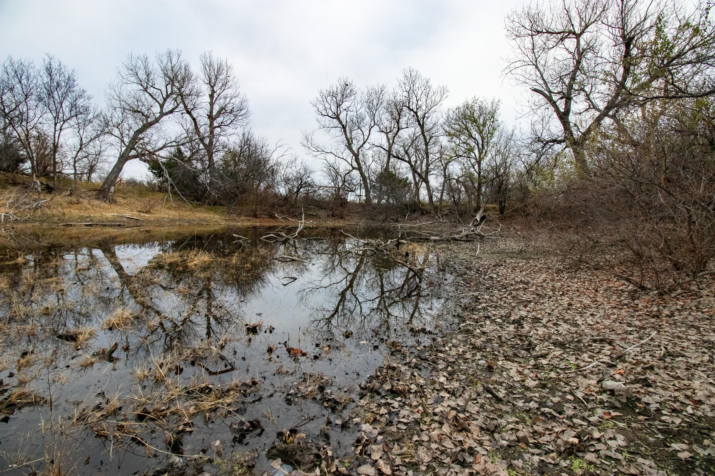Triple S Canadian River Ranch Canadian, TX 79014 - Photo 62 of 88 055