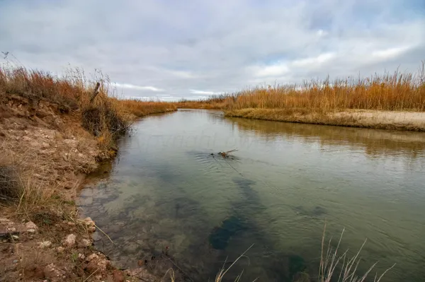 $1,500,000 | Triple S Canadian River Ranch, Canadian, TX 79014