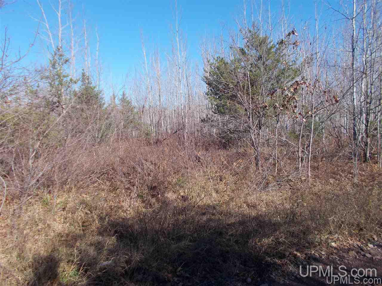 74-acres 74-acres Off Co Road Negaunee, MI 49866 - Photo 5 of 17