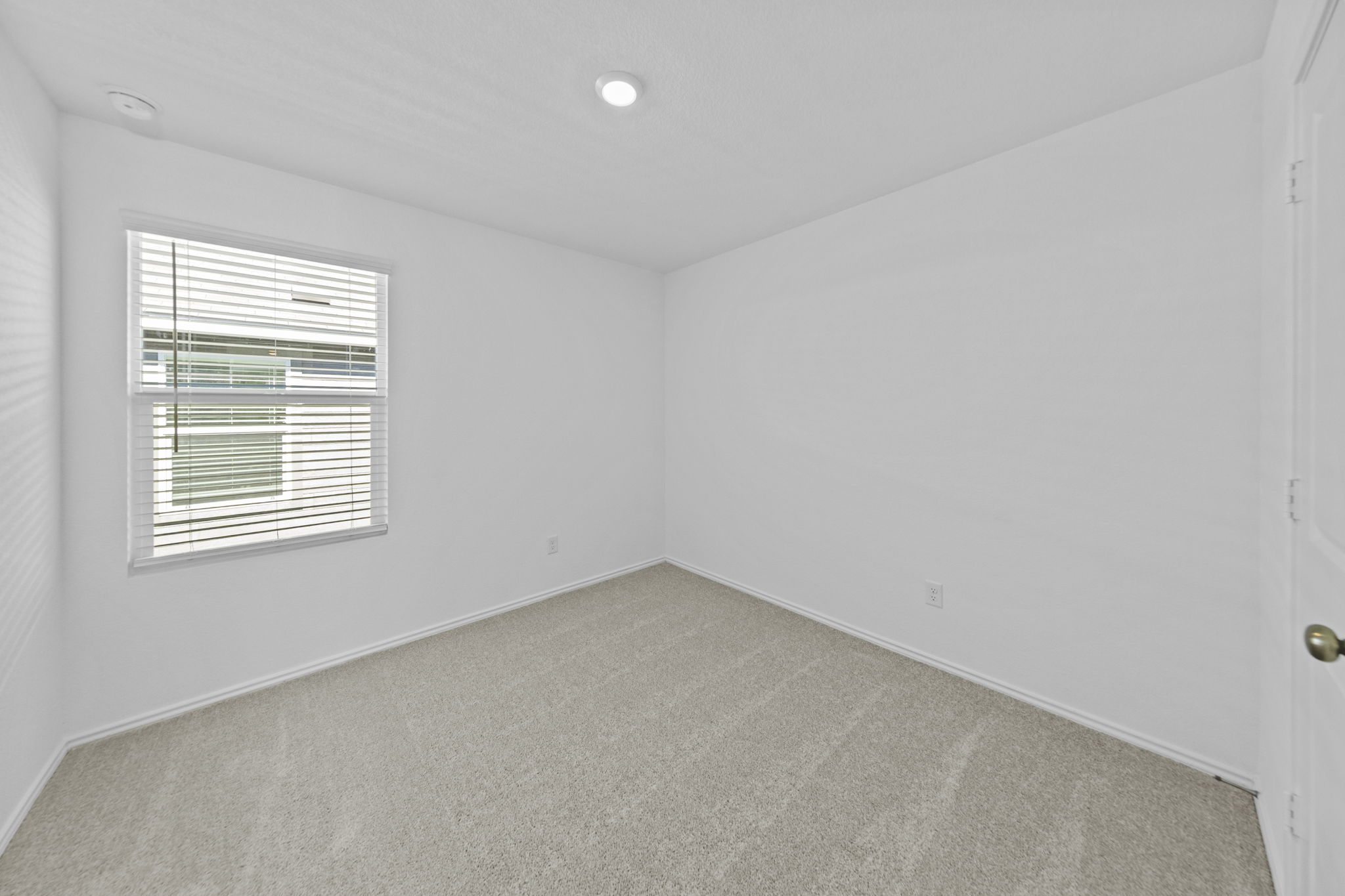 245 Ammolite Lane Maxwell, TX 78656 - Photo 5 of 17