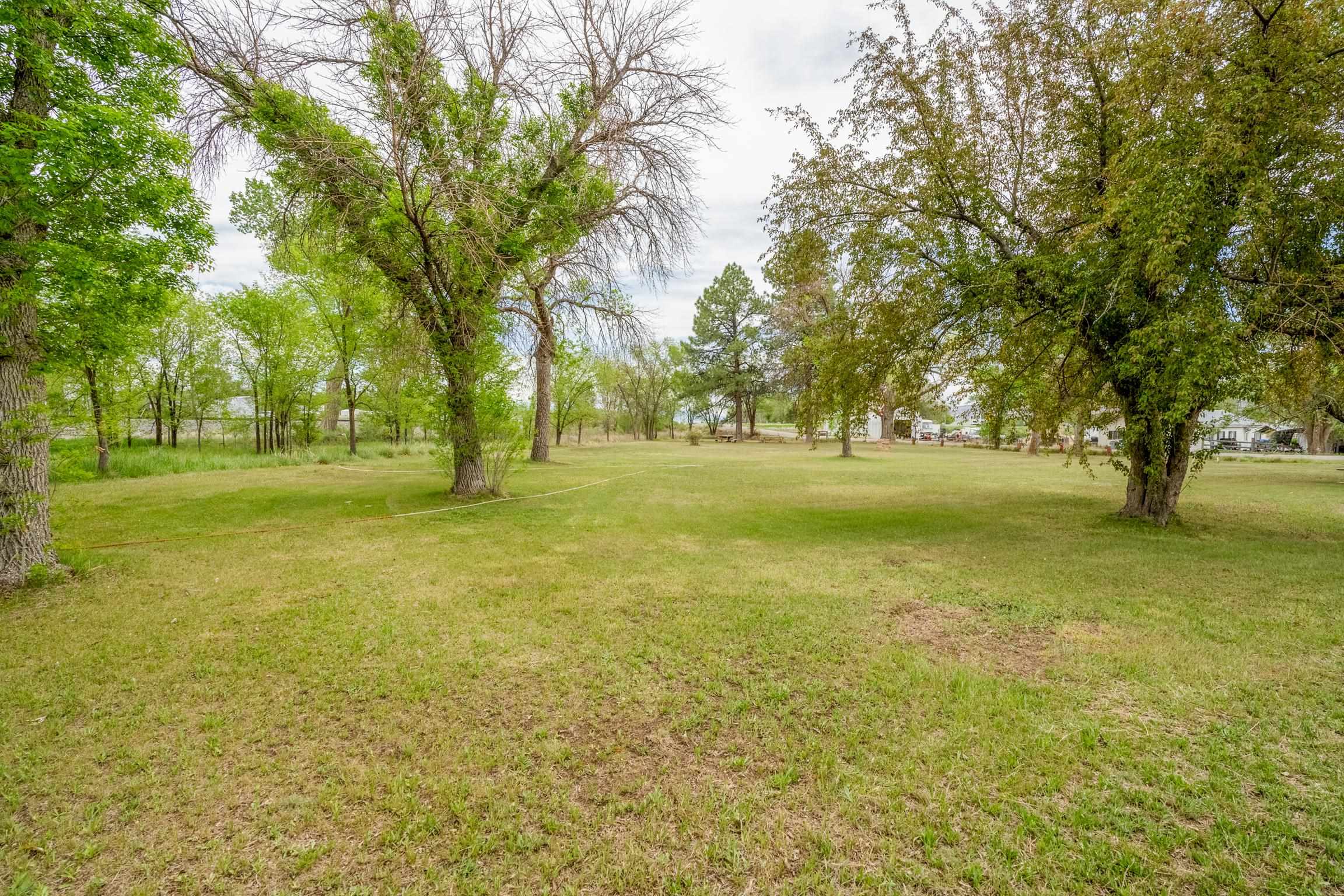 1296 M 1/4 Road Loma, CO 81524 - Photo 1 of 32 a big yard with trees in the background