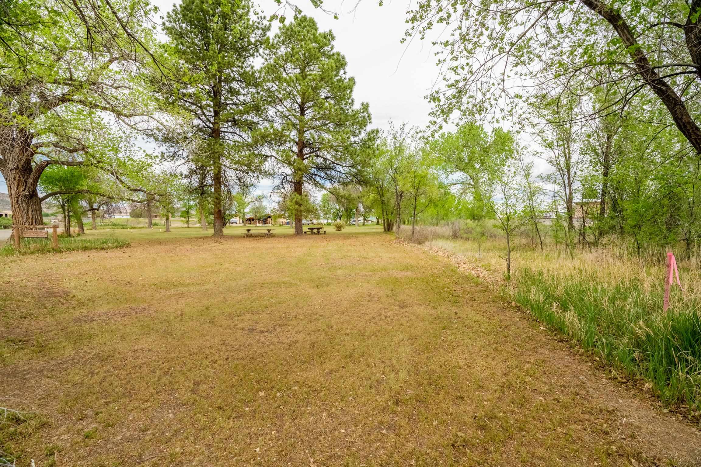 1296 M 1/4 Road Loma, CO 81524 - Photo 11 of 32 a view of a yard with an trees