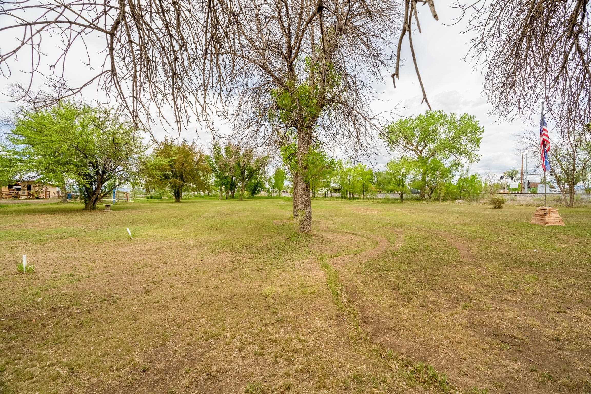 1296 M 1/4 Road Loma, CO 81524 - Photo 14 of 32 a view of a trees with yard and trees