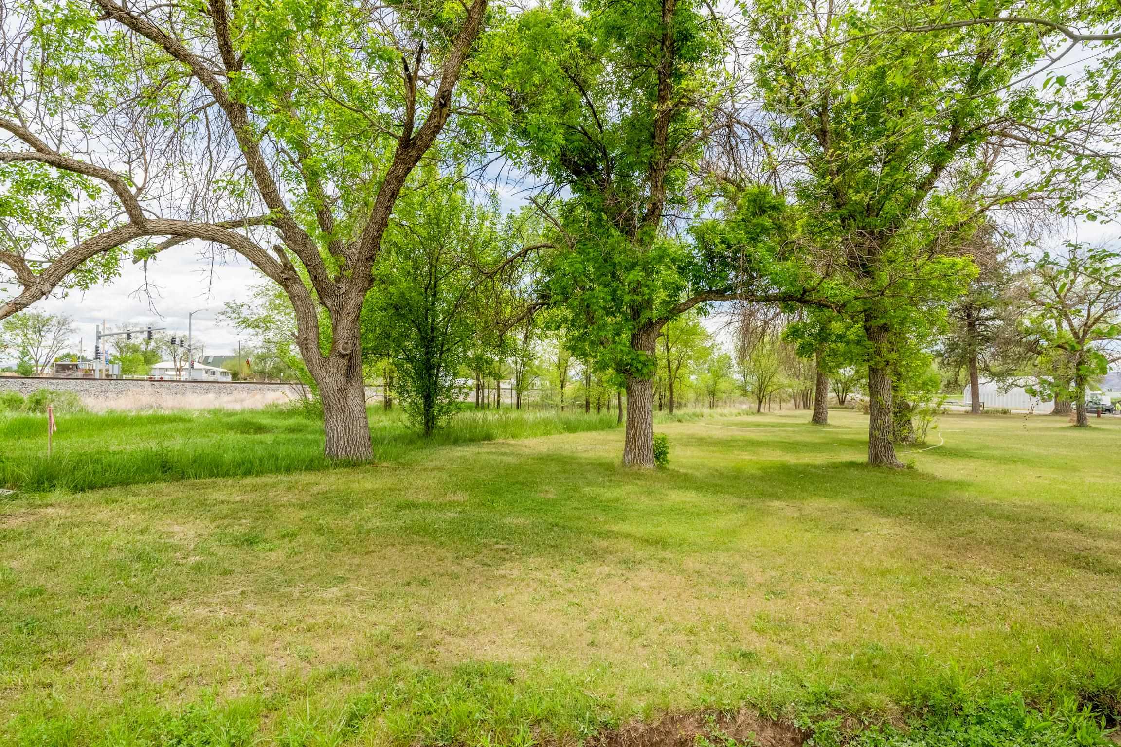 1296 M 1/4 Road Loma, CO 81524 - Photo 16 of 32 a huge green field with lots of trees