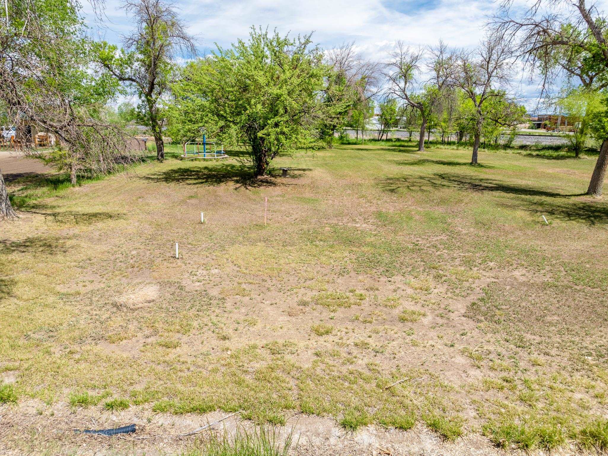 1296 M 1/4 Road Loma, CO 81524 - Photo 17 of 32 a view of a yard with trees