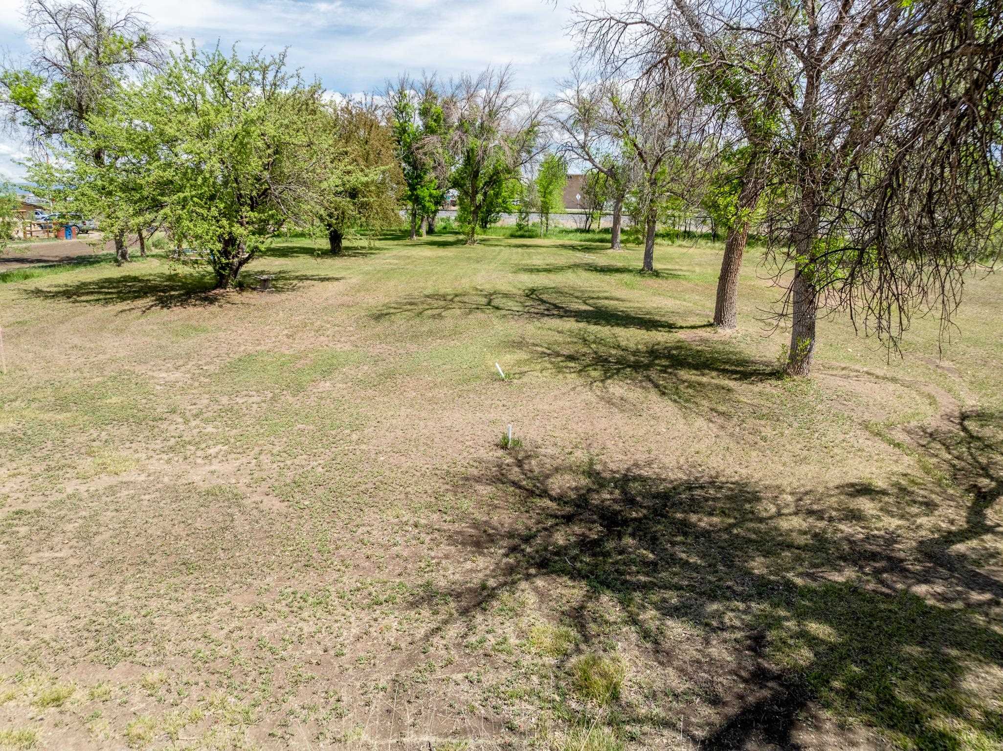 1296 M 1/4 Road Loma, CO 81524 - Photo 18 of 32 a view of dirt yard with a large tree