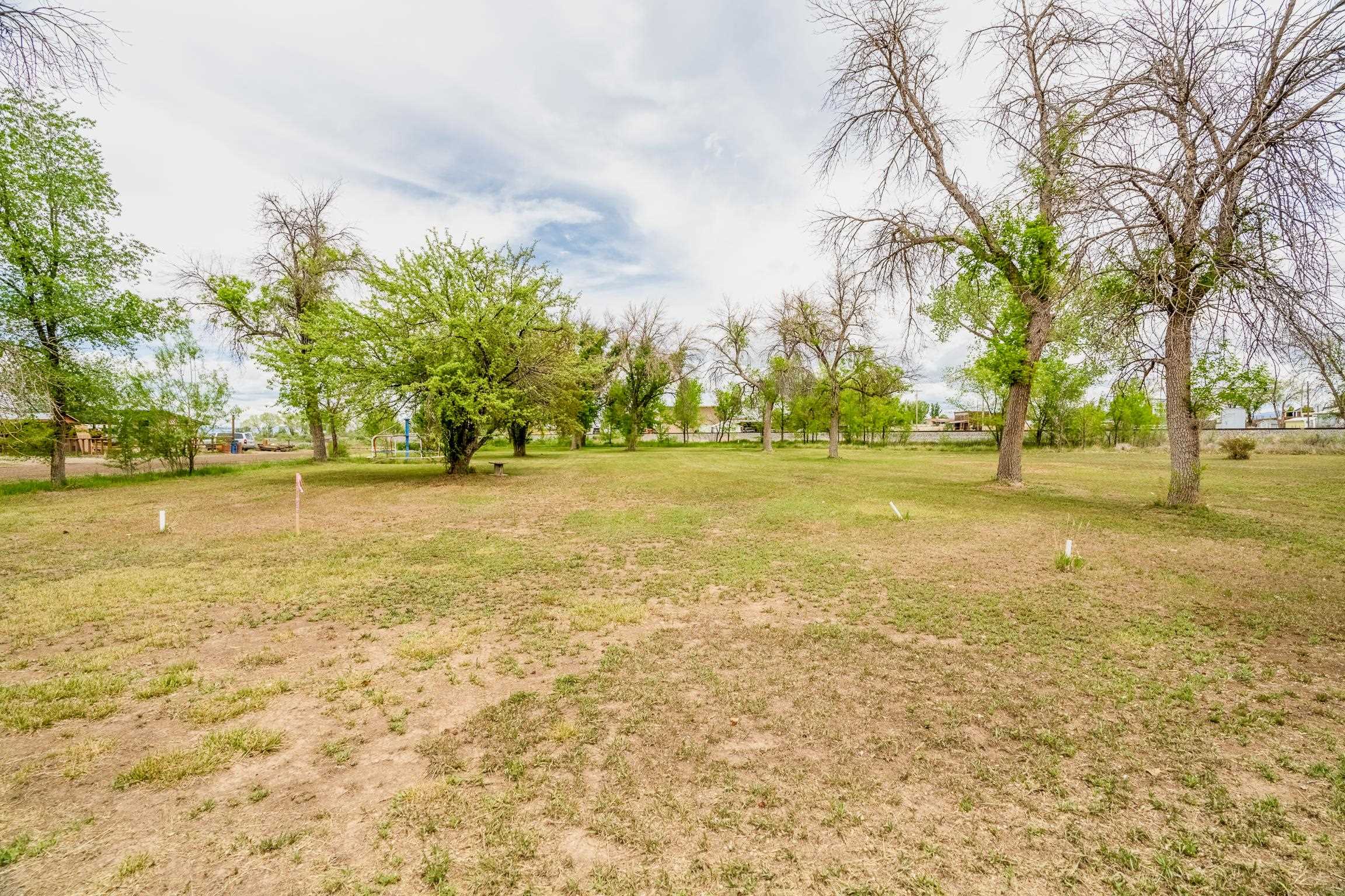1296 M 1/4 Road Loma, CO 81524 - Photo 19 of 32 a view of a yard with an trees