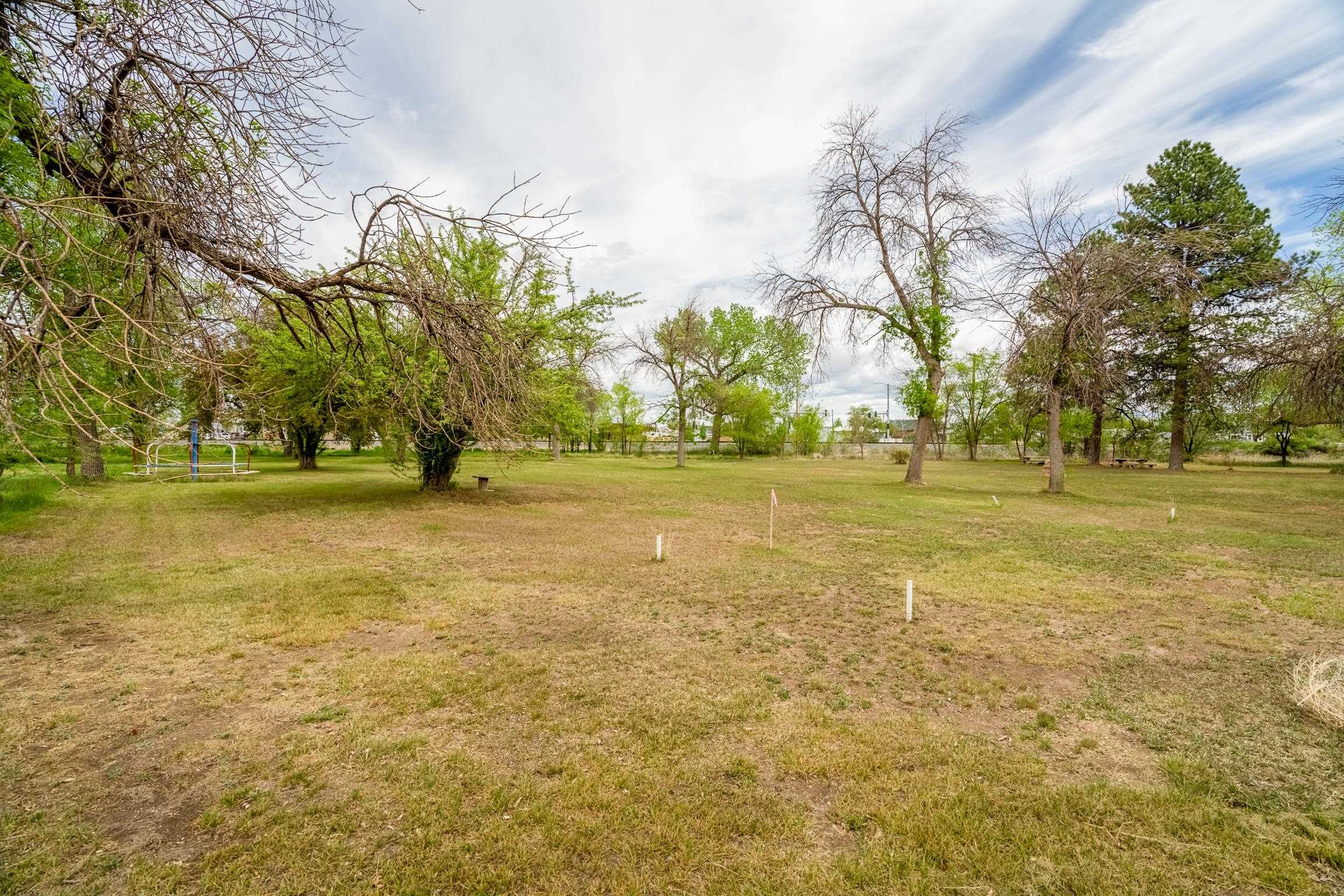 1296 M 1/4 Road Loma, CO 81524 - Photo 20 of 32 a view of a green field with trees in the background