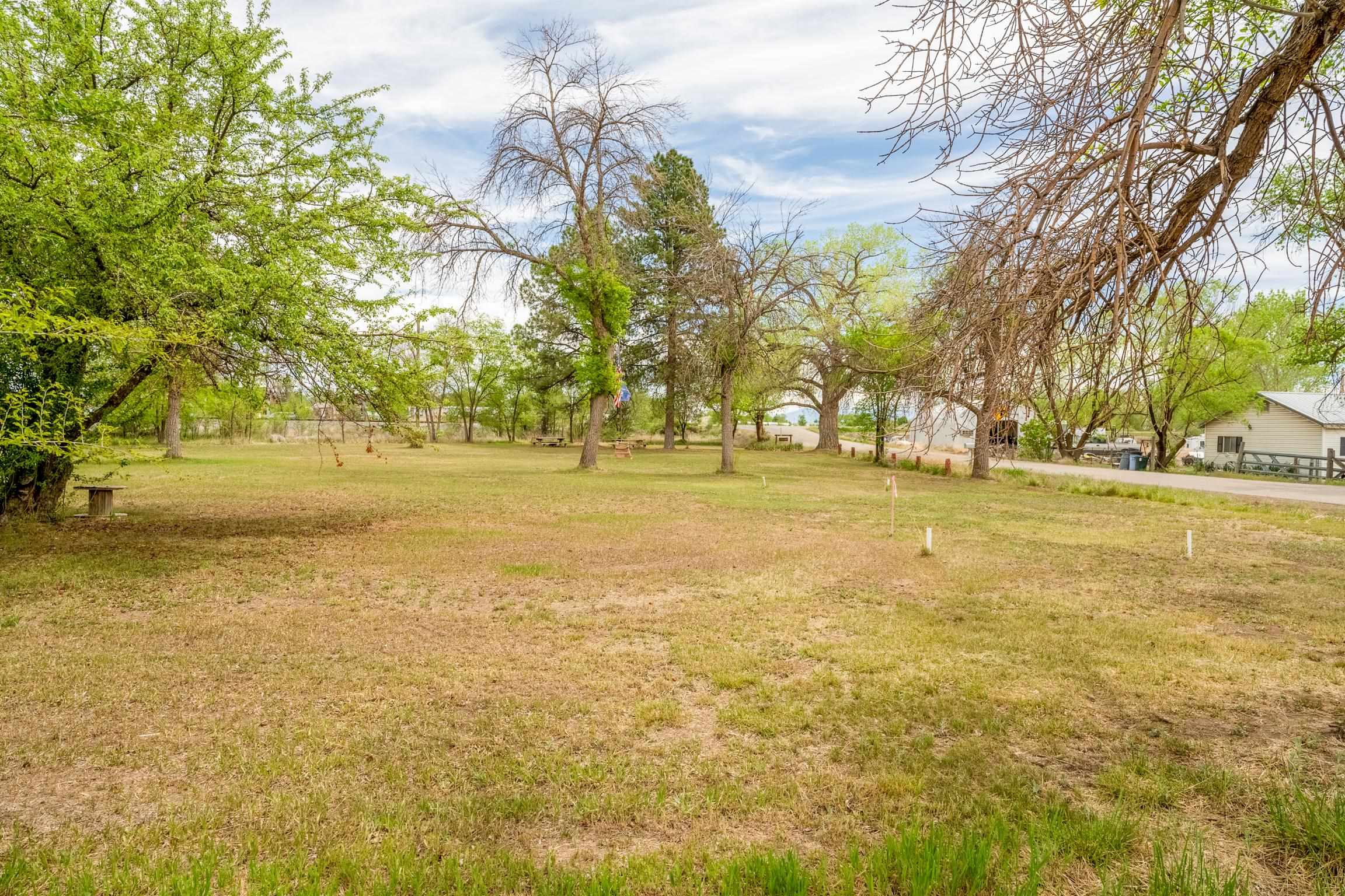1296 M 1/4 Road Loma, CO 81524 - Photo 21 of 32 a yard with swimming pool and trees