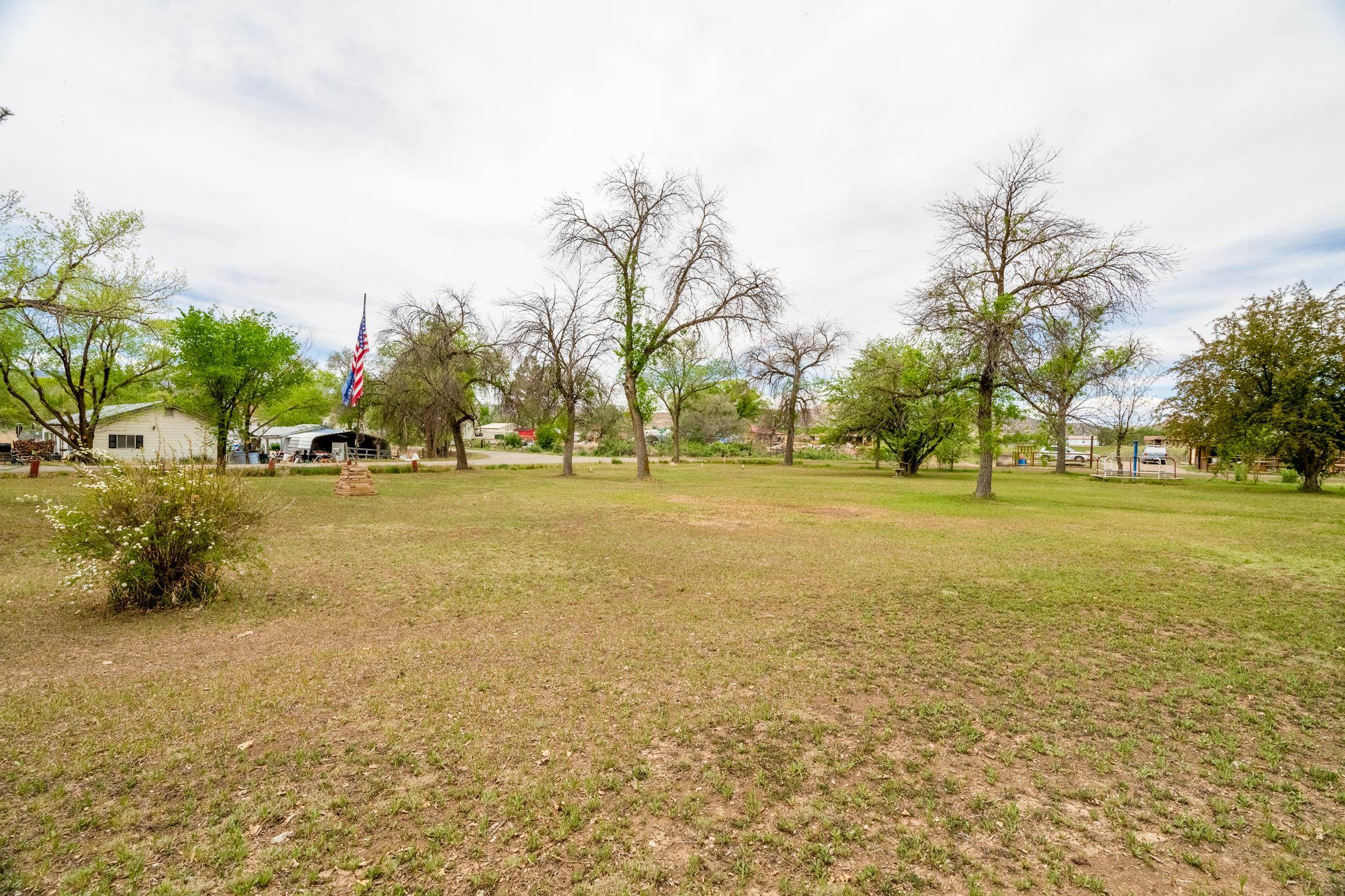 1296 M 1/4 Road Loma, CO 81524 - Photo 22 of 32 a view of yard with trees