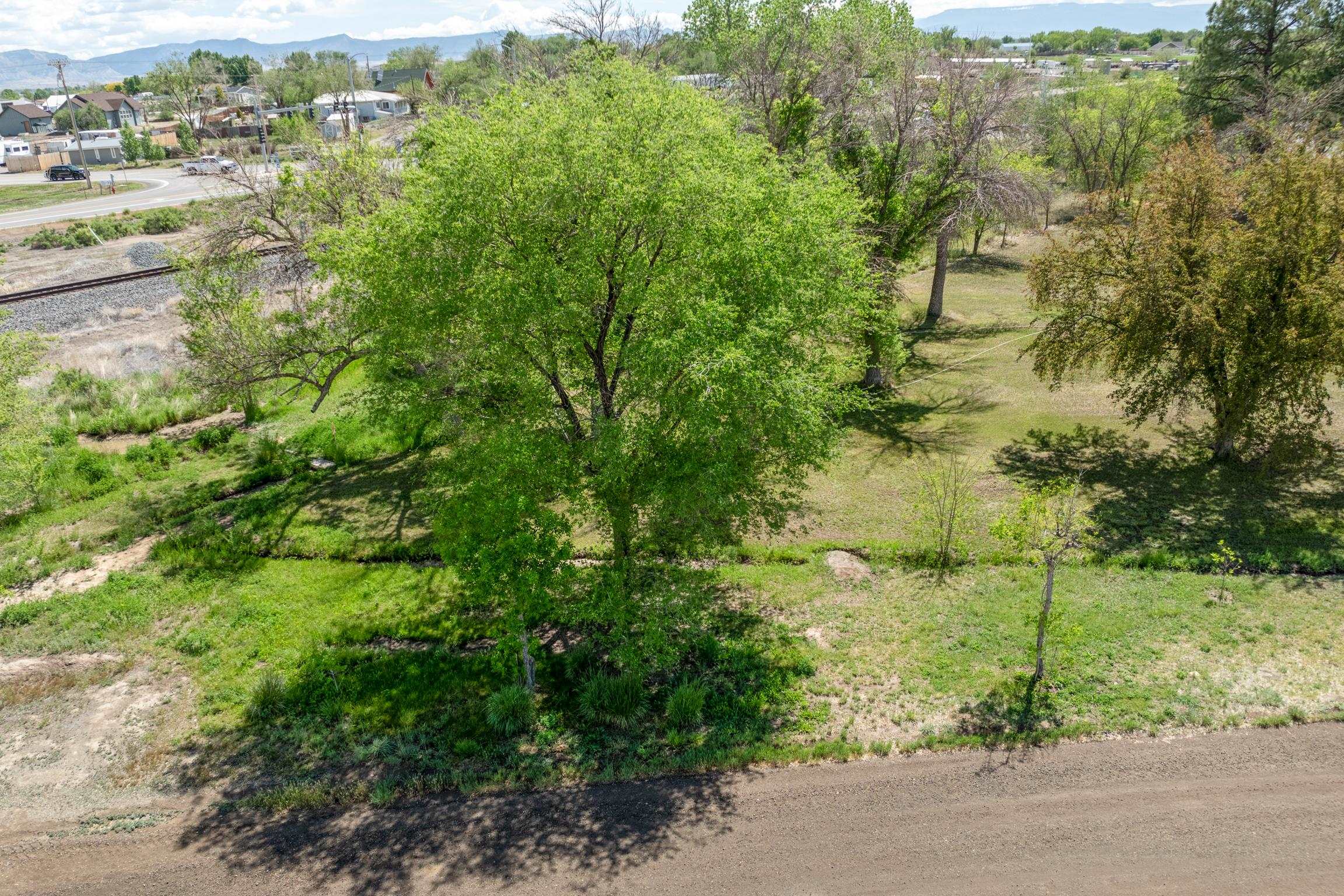 1296 M 1/4 Road Loma, CO 81524 - Photo 27 of 32 a view of a garden with plants