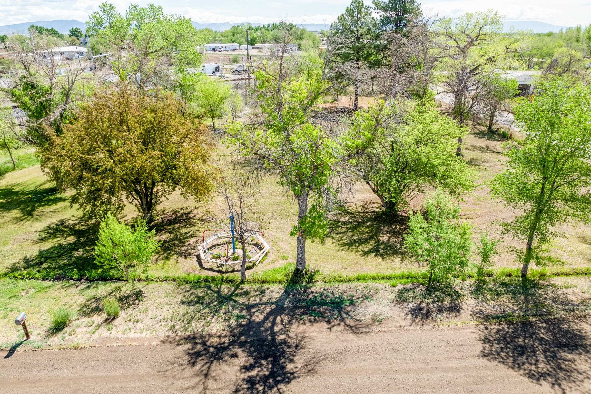 1296 M 1/4 Road Loma, CO 81524 - Photo 29 of 32 a view of a yard with plants and trees