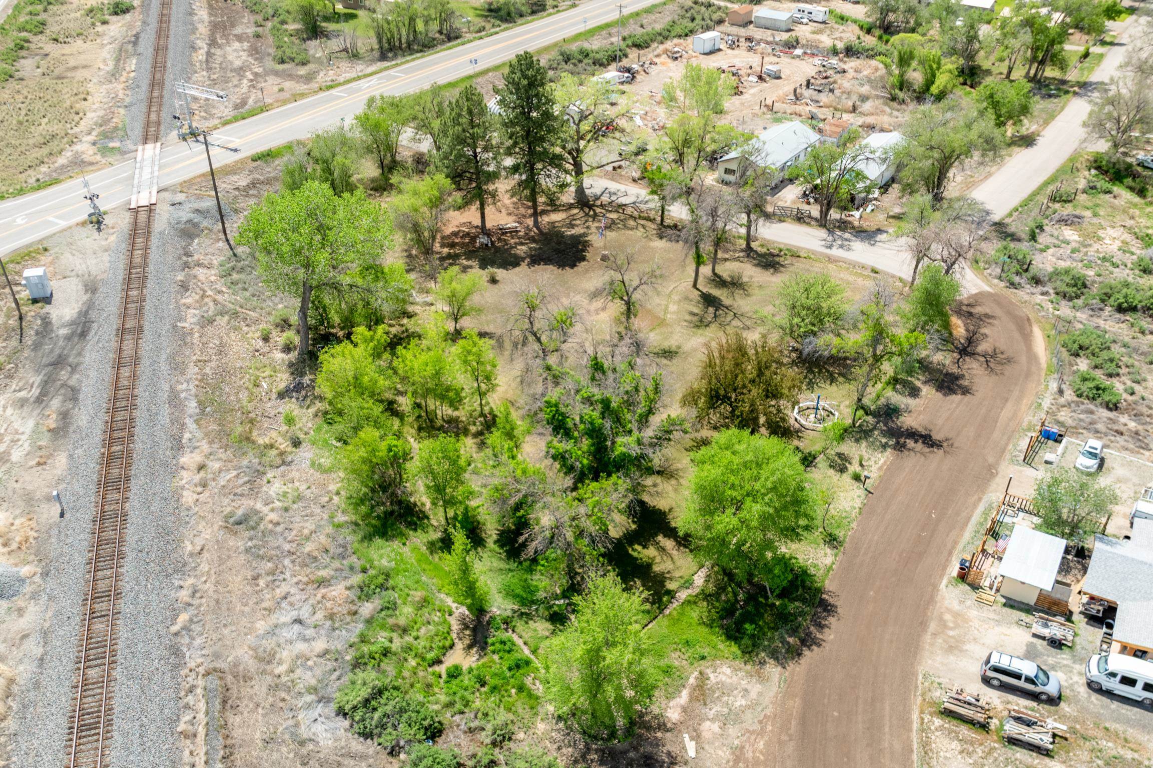 1296 M 1/4 Road Loma, CO 81524 - Photo 31 of 32 a view of a garden with a plant