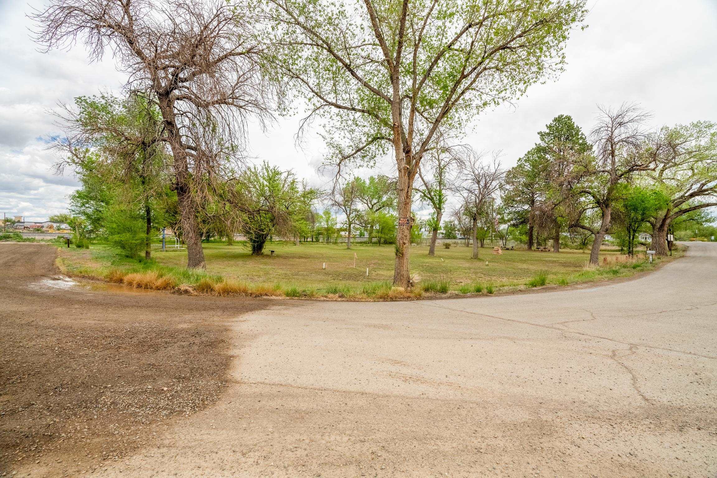 1296 M 1/4 Road Loma, CO 81524 - Photo 4 of 32 a view of a yard with plants and trees