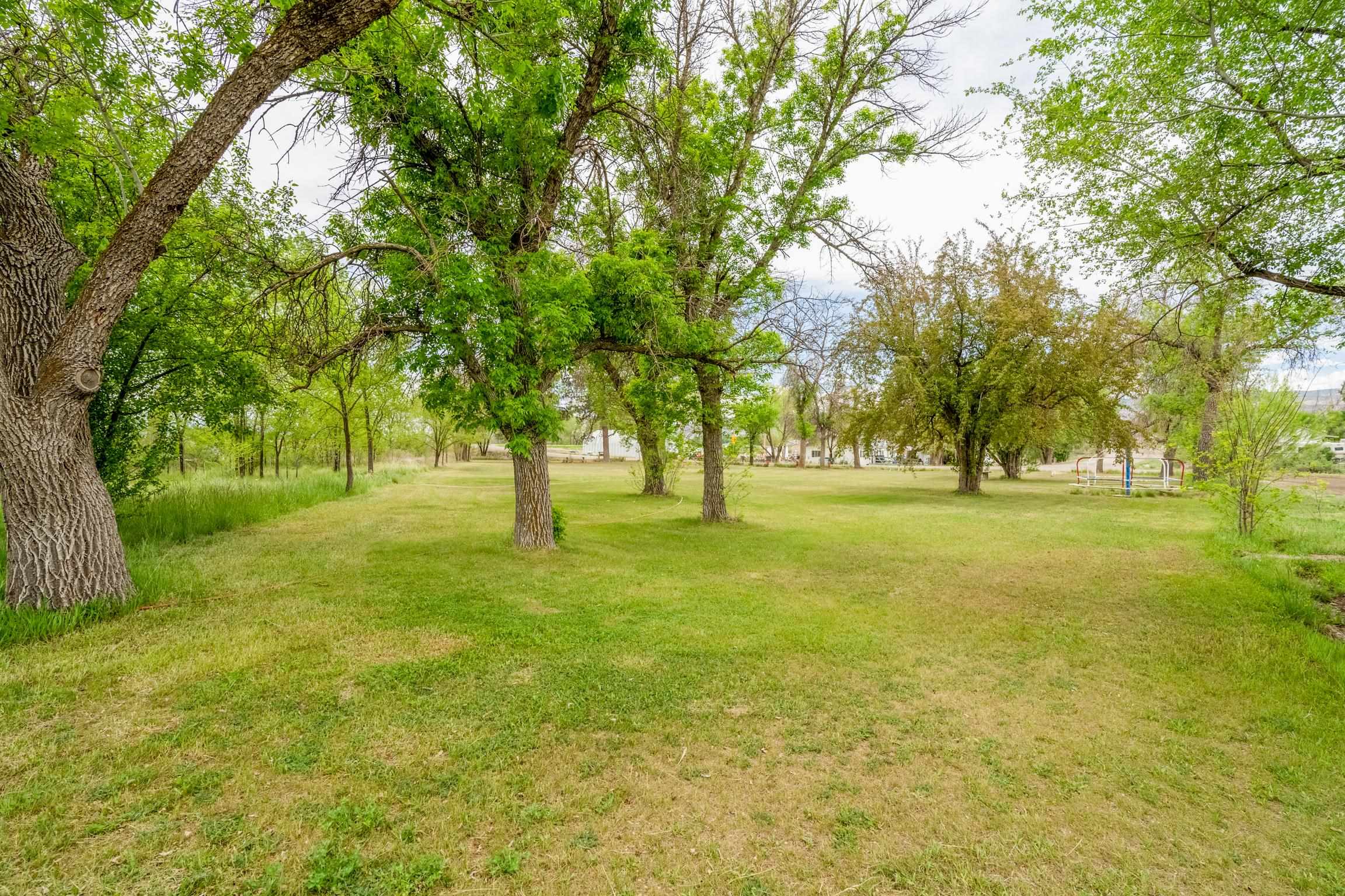 1296 M 1/4 Road Loma, CO 81524 - Photo 6 of 32 a view of yard with trees