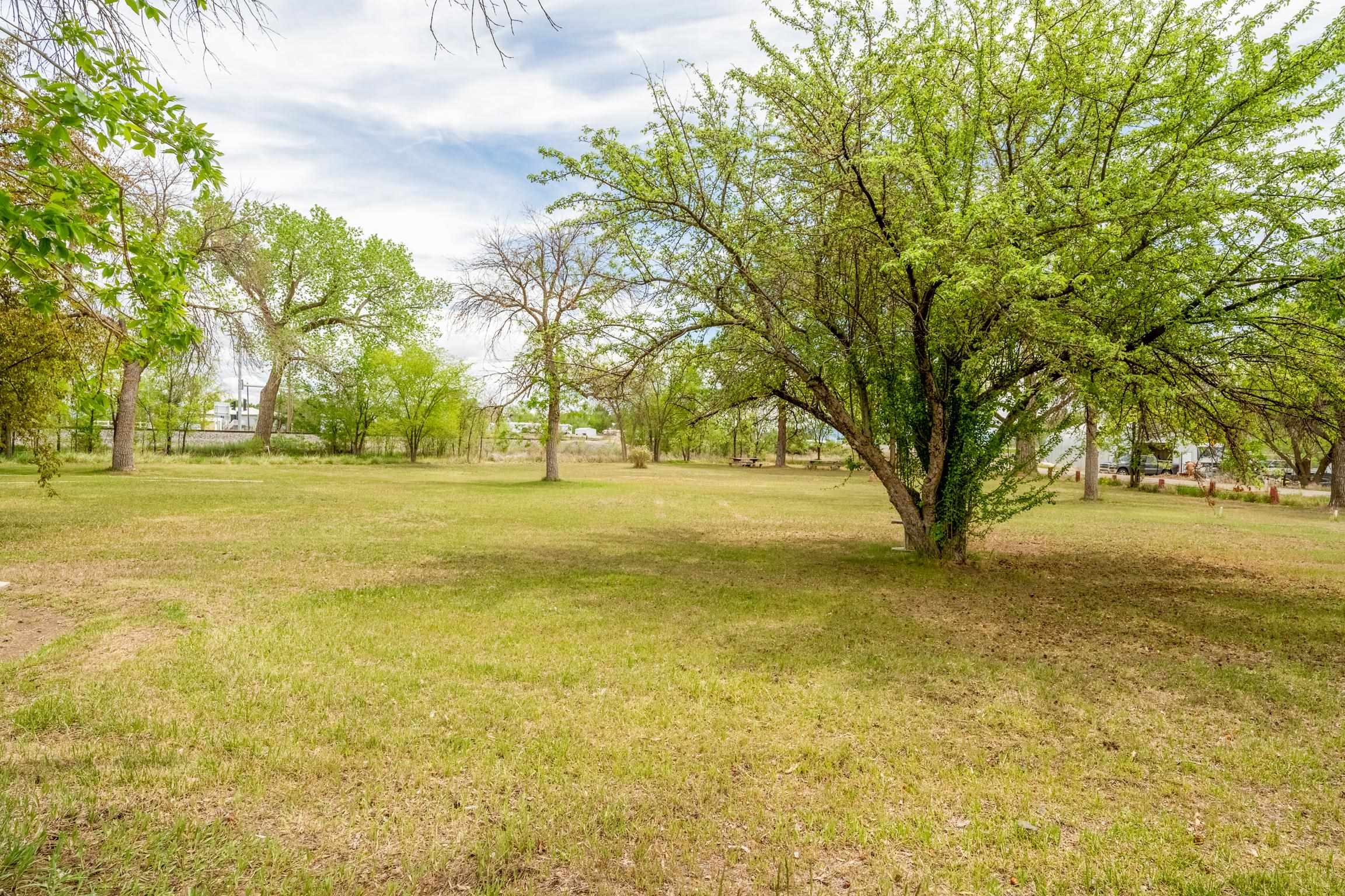 1296 M 1/4 Road Loma, CO 81524 - Photo 7 of 32 a yard with trees in the background