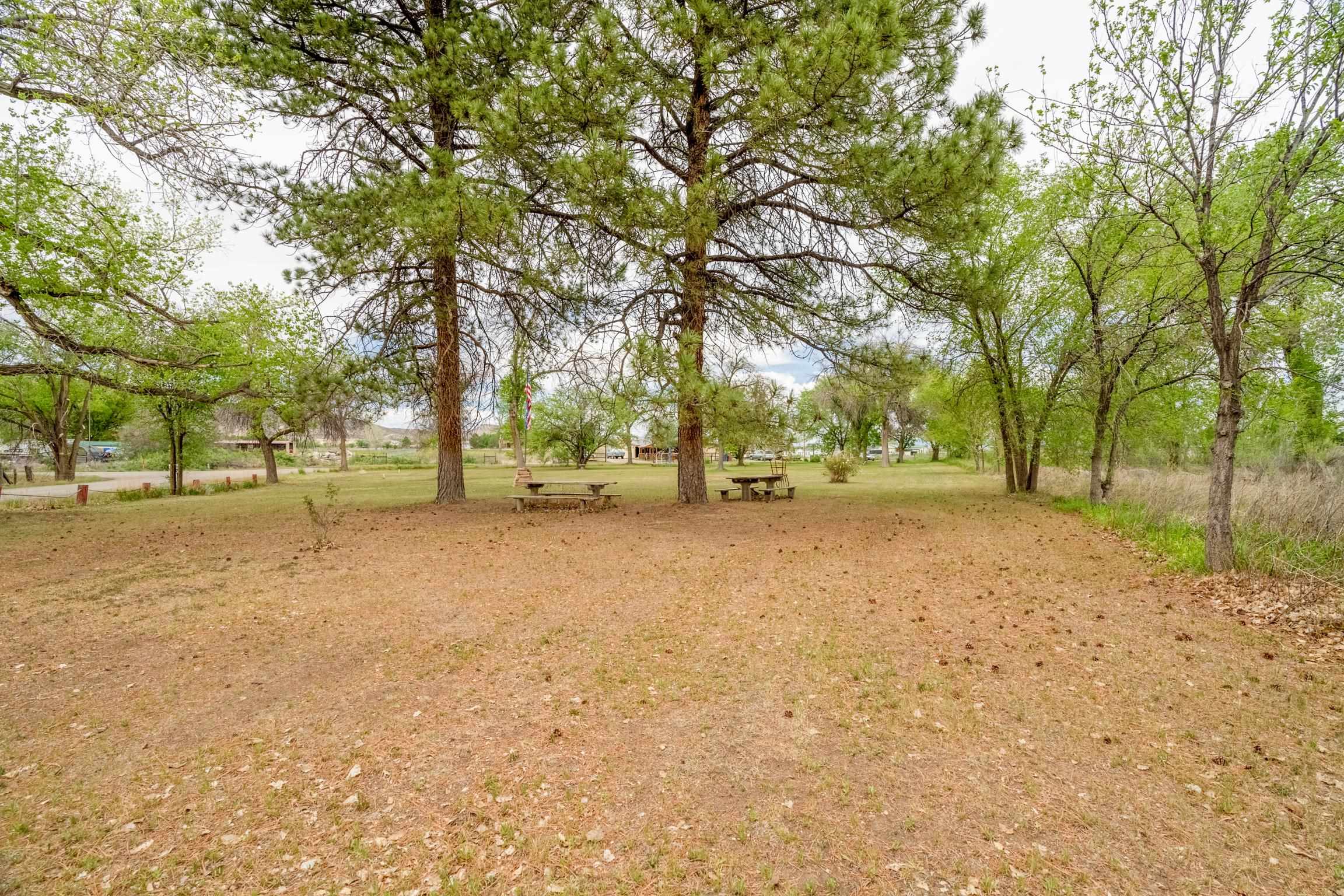 1296 M 1/4 Road Loma, CO 81524 - Photo 8 of 32 a view of outdoor space with trees
