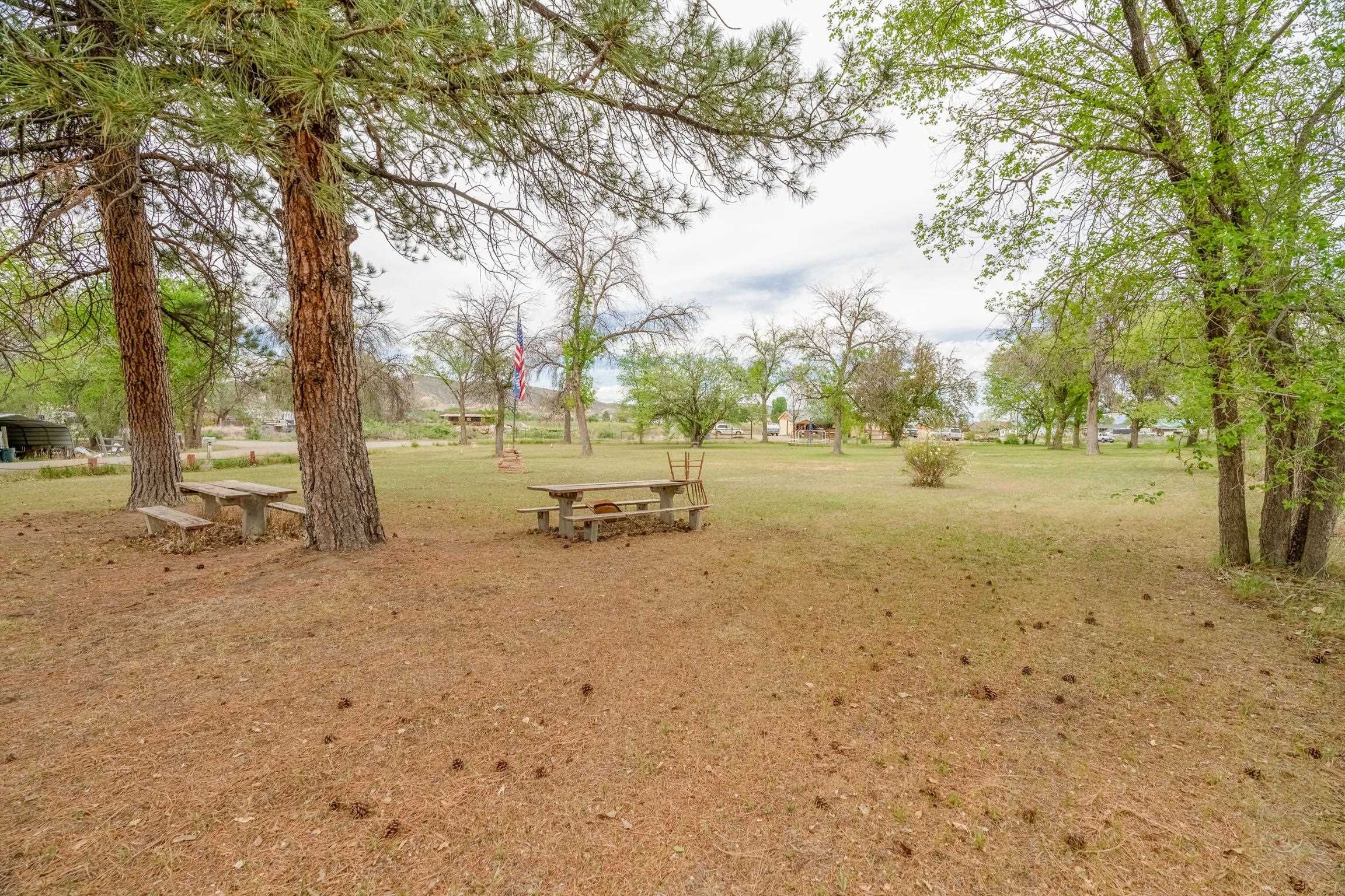 1296 M 1/4 Road Loma, CO 81524 - Photo 9 of 32 a view of dirt yard with a tree