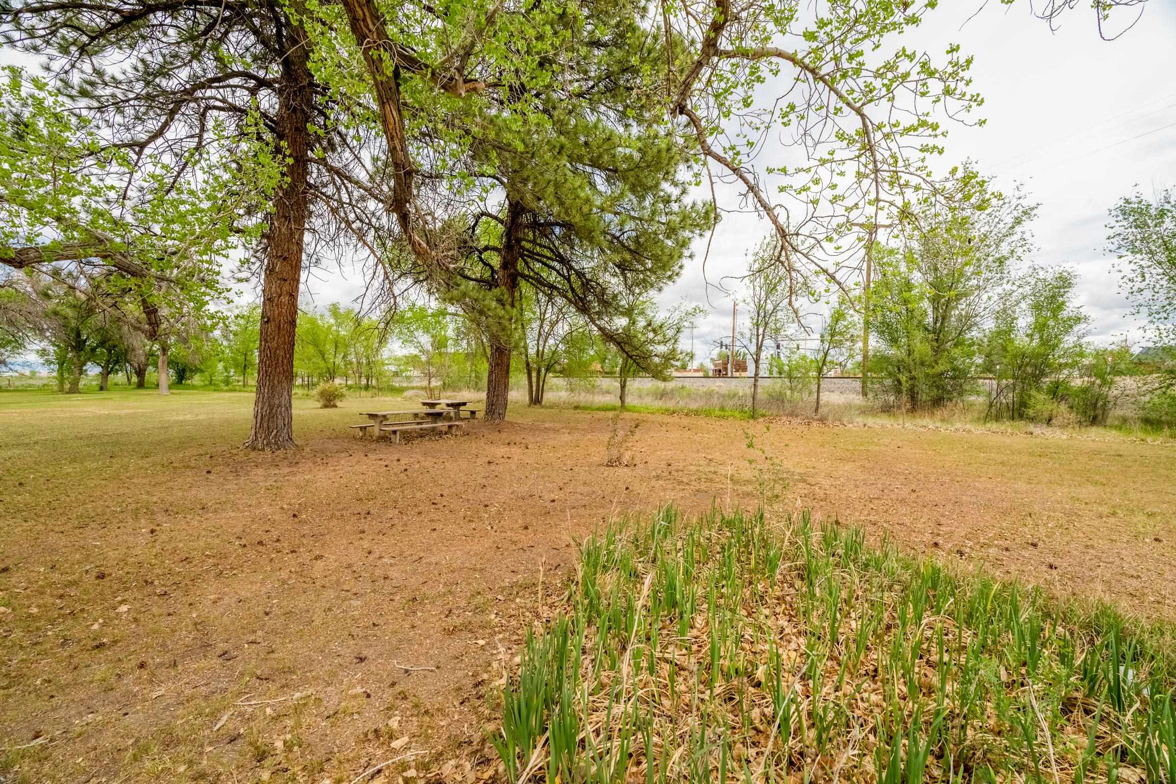 1296 M 1/4 Road Loma, CO 81524 - Photo 10 of 32 a view of yard with trees