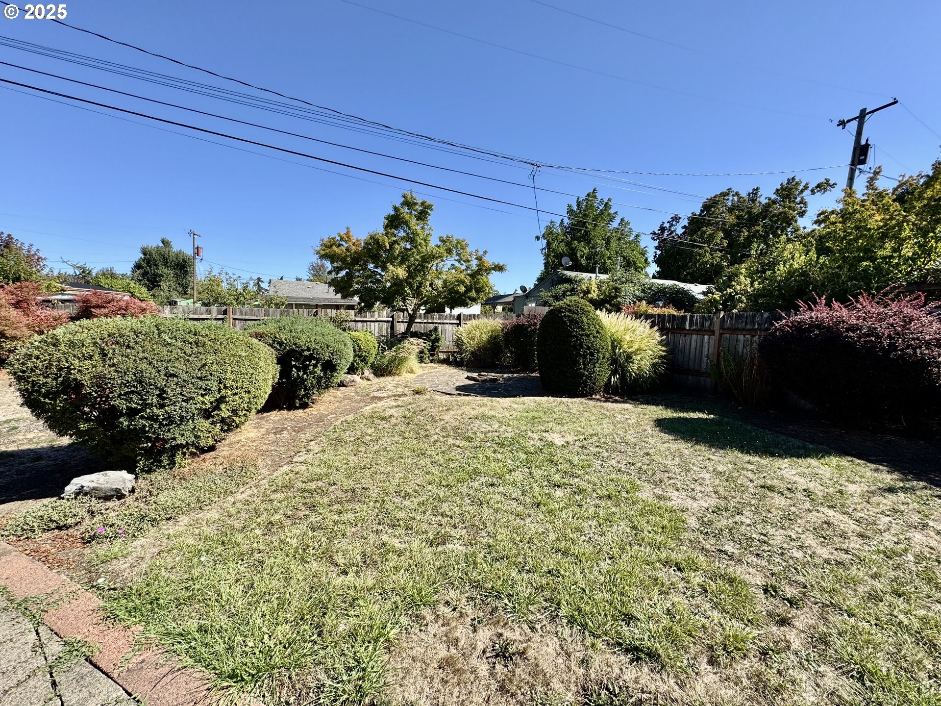 1915 Carter Lane Springfield, OR 97477 - Photo 23 of 30 a view of a backyard