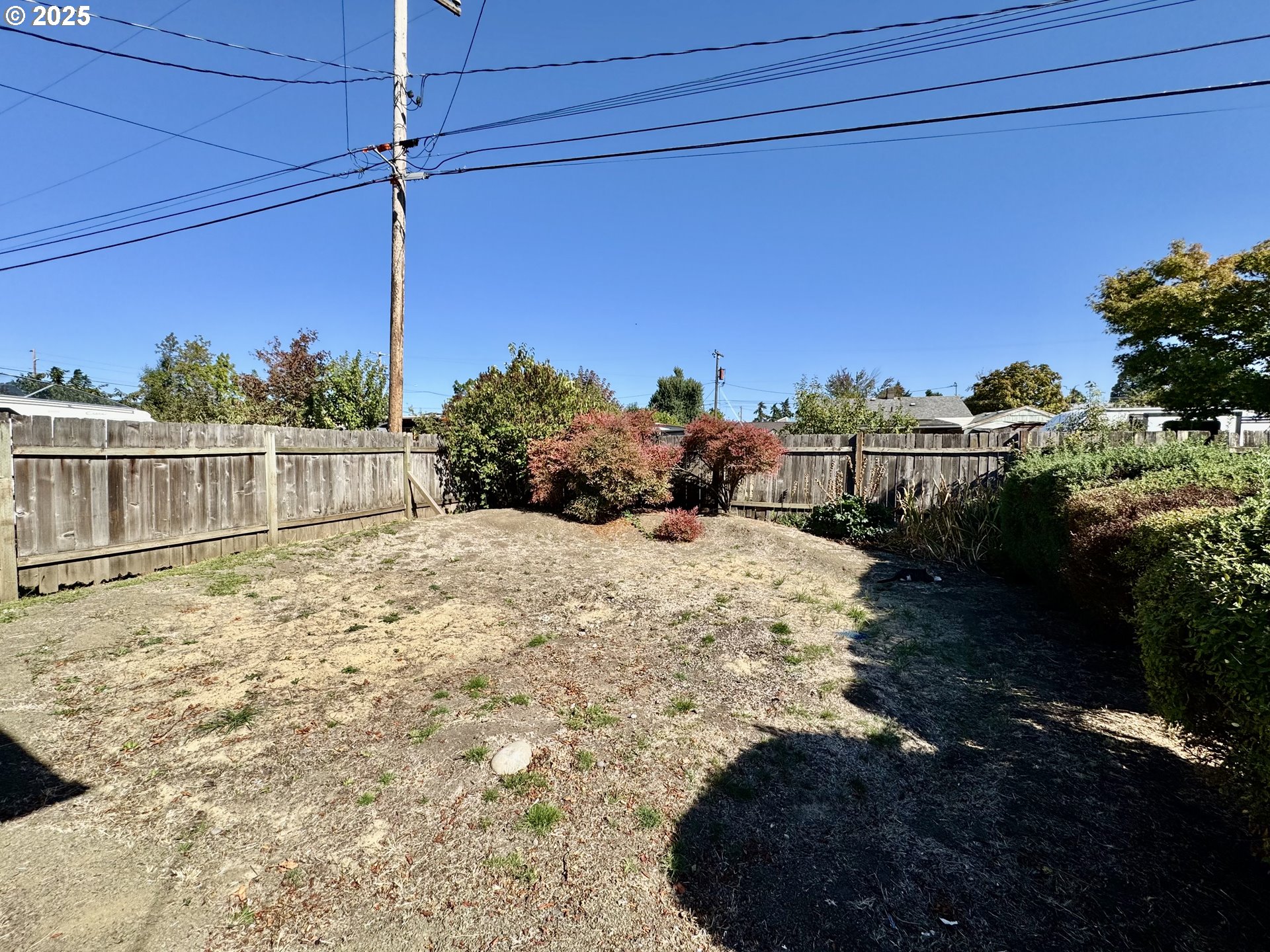 1915 Carter Lane Springfield, OR 97477 - Photo 24 of 30 a view of a yard with wooden fence