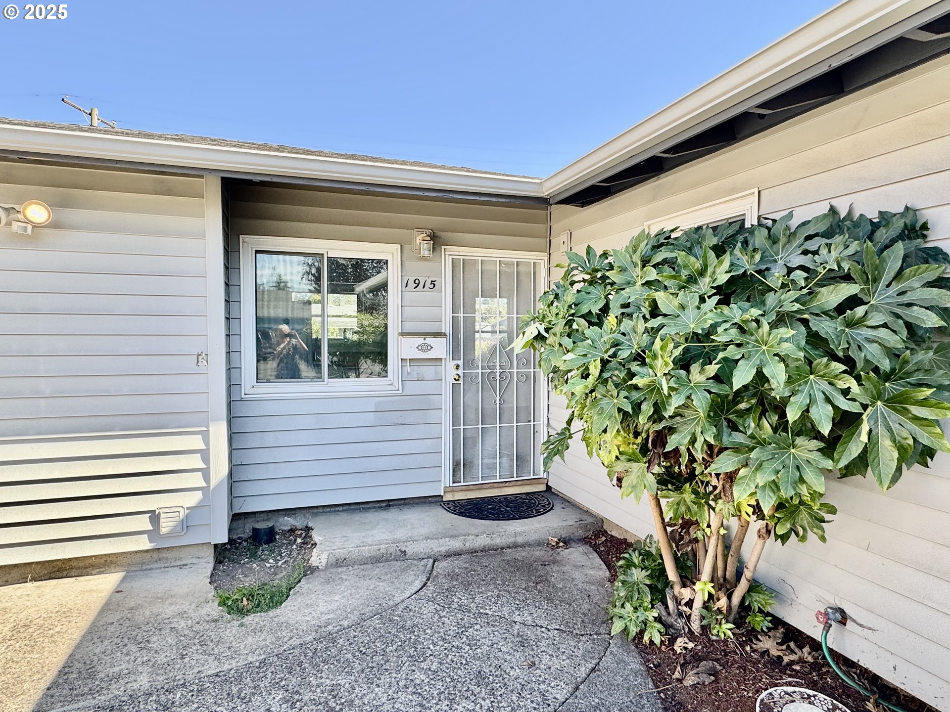 1915 Carter Lane Springfield, OR 97477 - Photo 3 of 30 a front view of a house with a yard and potted plants