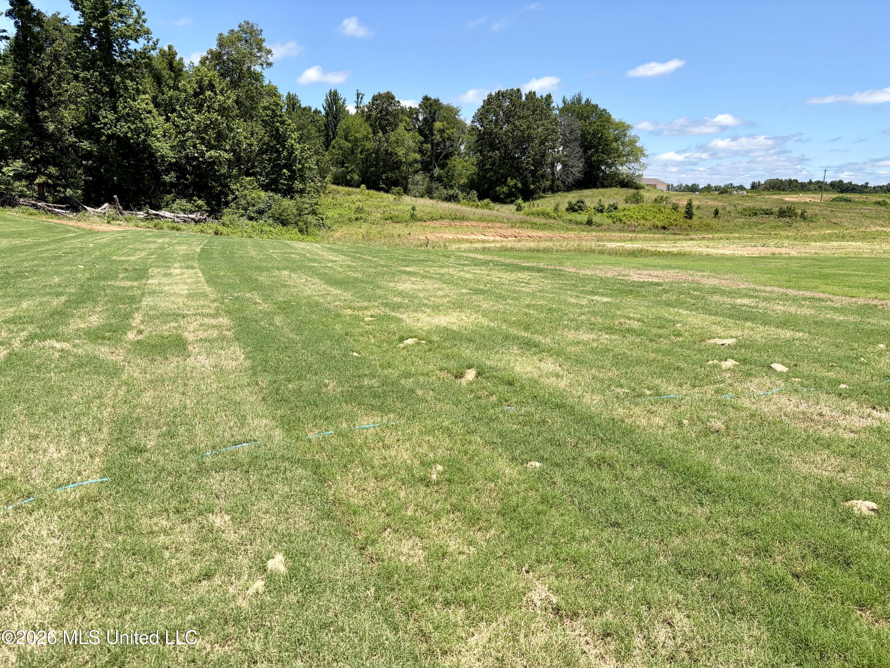 70 Farley Road Byhalia, MS 38611 - Photo 12 of 12 IMG_0366