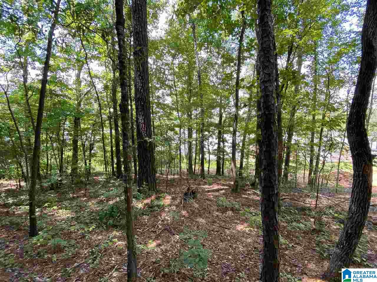 Lot 23 Cove Road, Unit 23 Sylacauga, AL 35151 - Photo 10 of 13