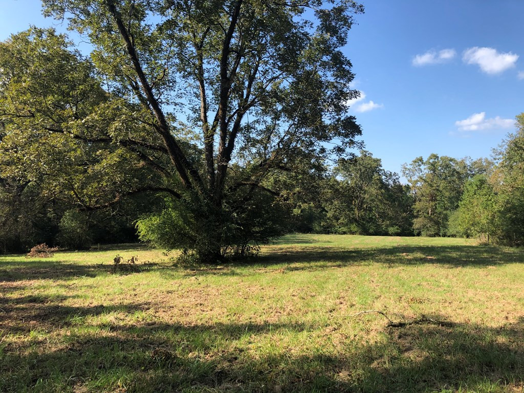 3004 West Gallman Road Hazlehurst, MS 39083 - Photo 4 of 21 Photo 4