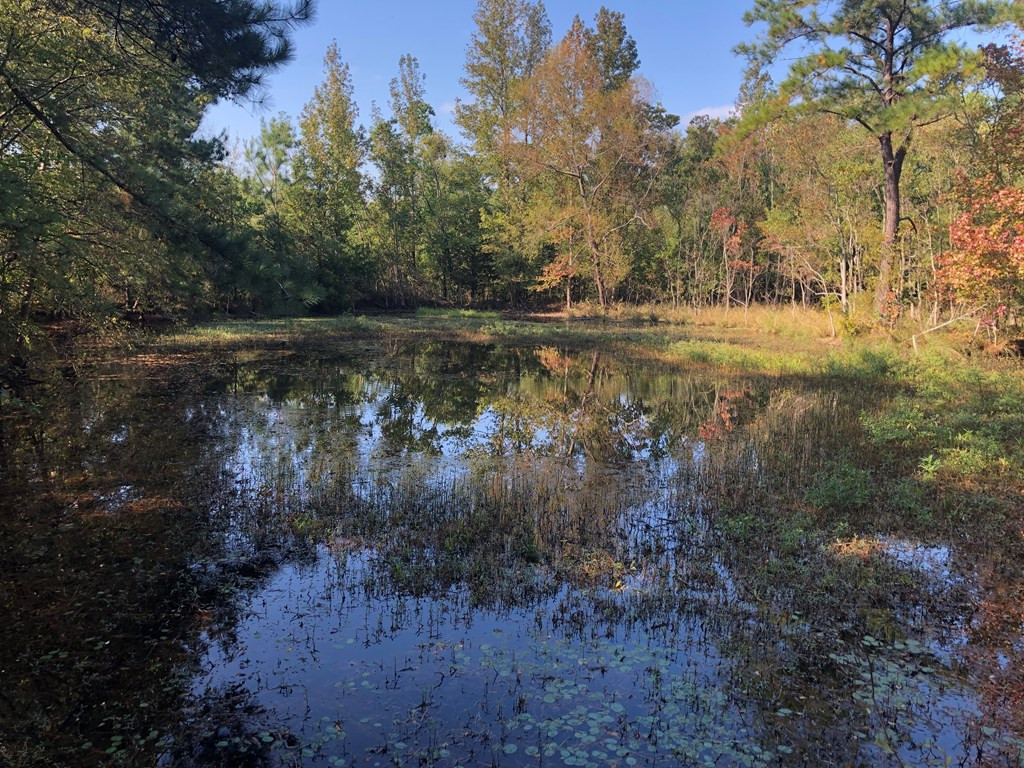 3004 West Gallman Road Hazlehurst, MS 39083 - Photo 8 of 21 Photo 8