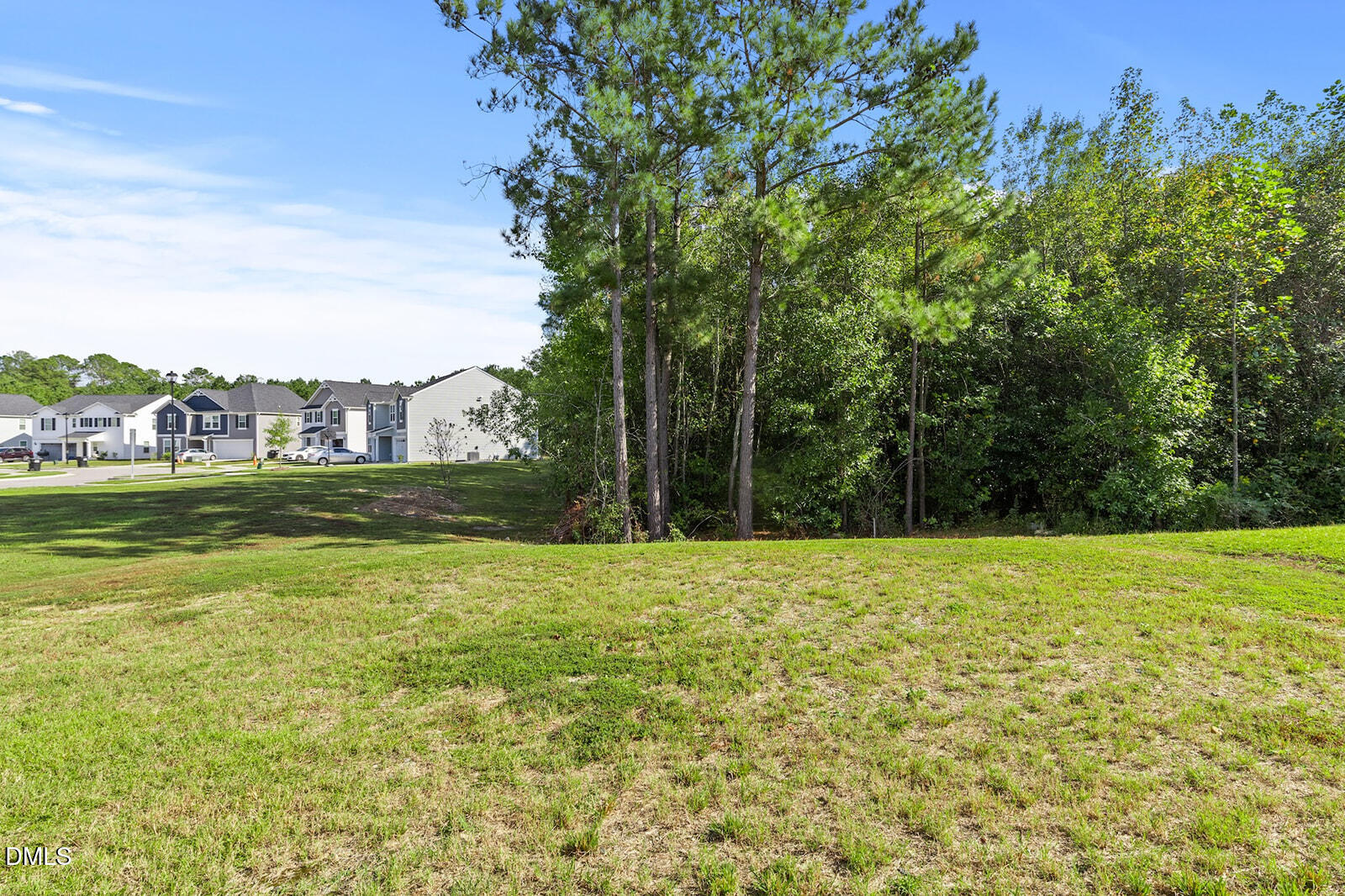 128 Maple Tree Lane Clayton, NC 27527 - Photo 10 of 14 a view of a field with an trees