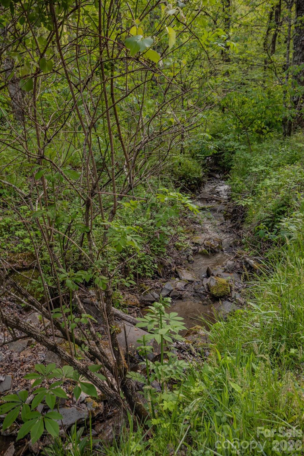 0 Unahala Creek Road Bryson City, NC 28713 - Photo 3 of 14