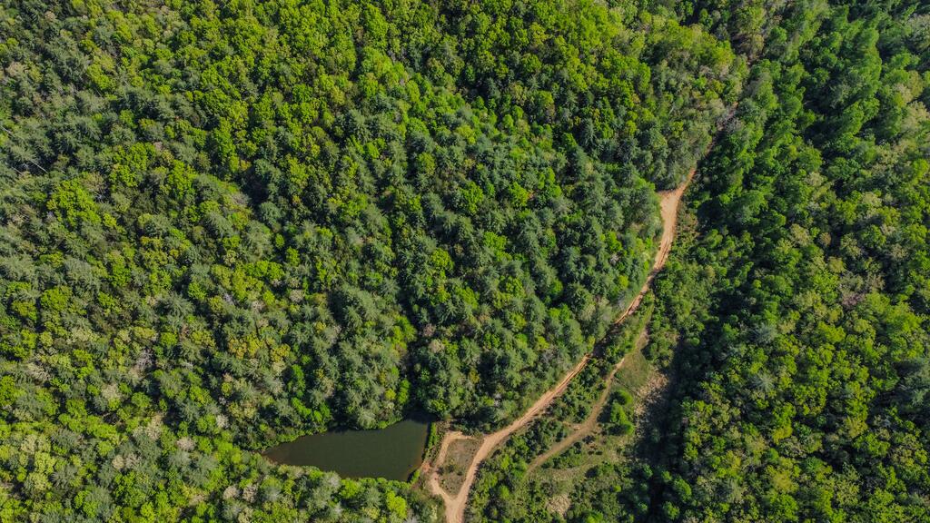 40-ac #1 40-ac Road Mineral Bluff, GA 30559 - Photo 11 of 35 Gallery Image 11