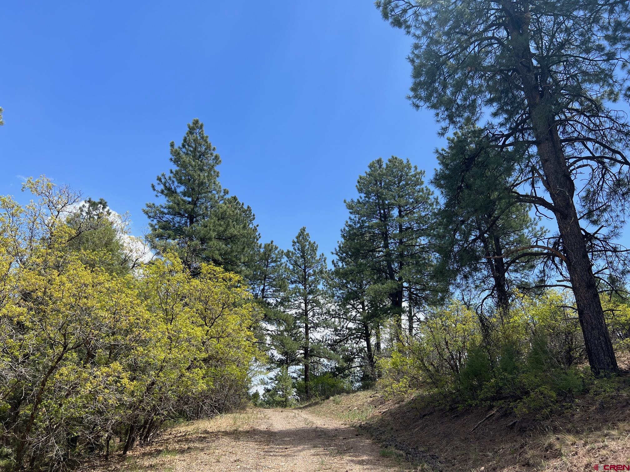 102 South Fork Road Durango, CO 81303 - Photo 11 of 14 a backyard of a house with lots of green space