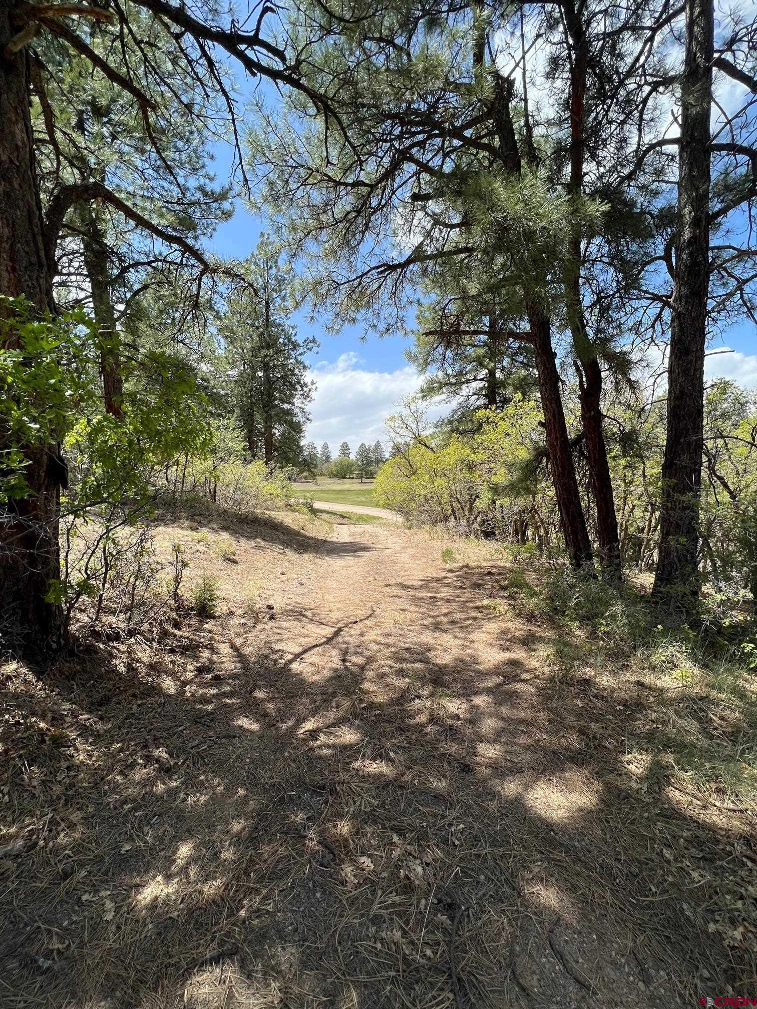 102 South Fork Road Durango, CO 81303 - Photo 12 of 14 a view of dirt yard with a tree