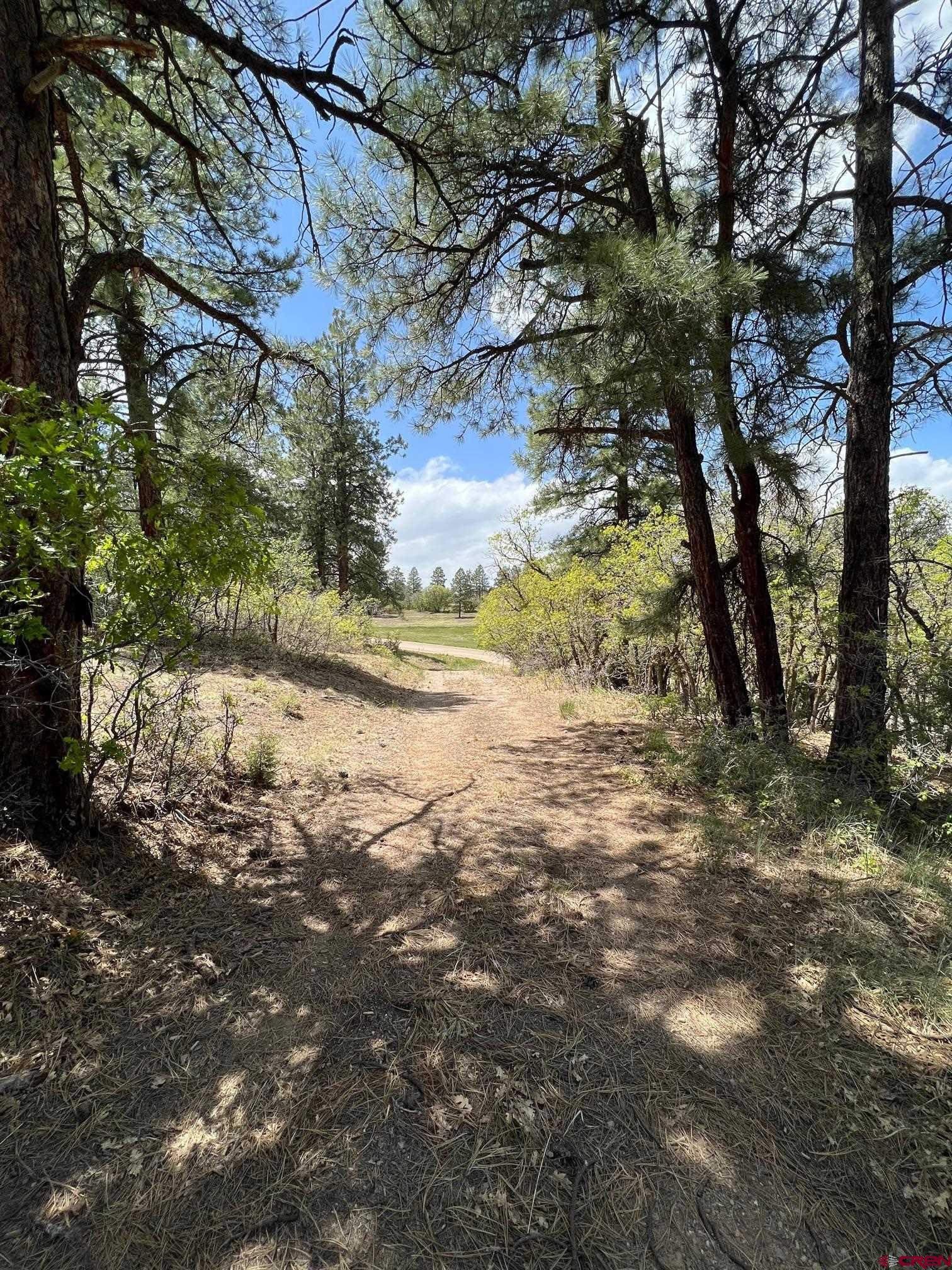 102 South Fork Road Durango, CO 81303 - Photo 13 of 14 a view of a yard with a tree