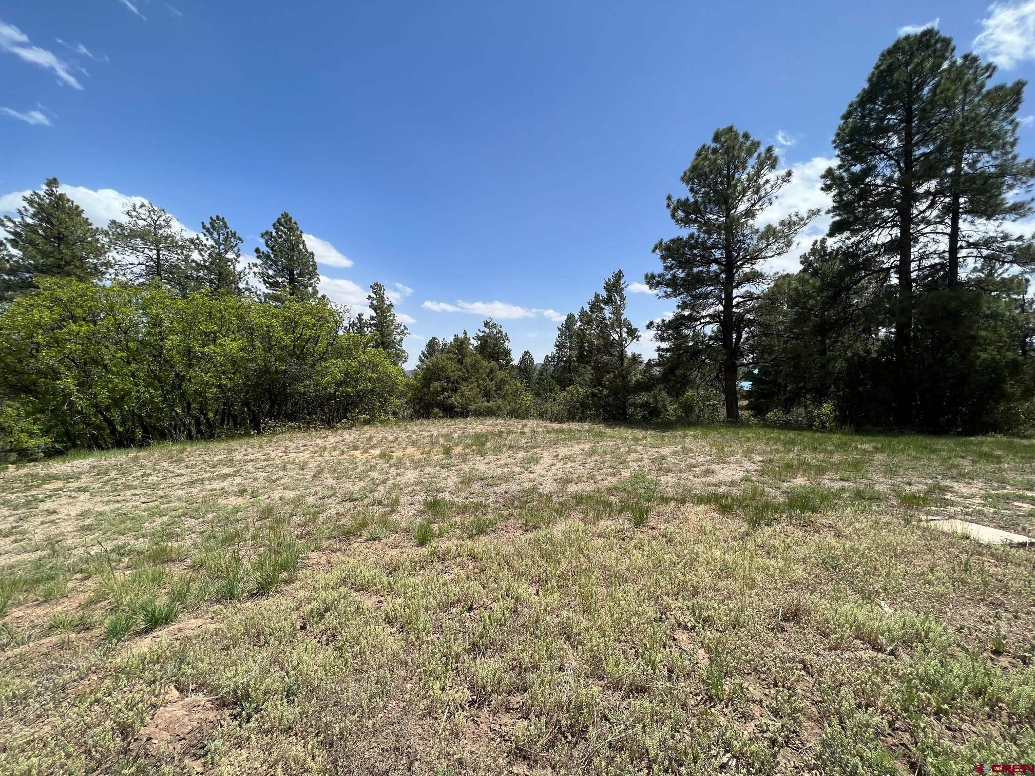 102 South Fork Road Durango, CO 81303 - Photo 2 of 14 a view of outdoor space