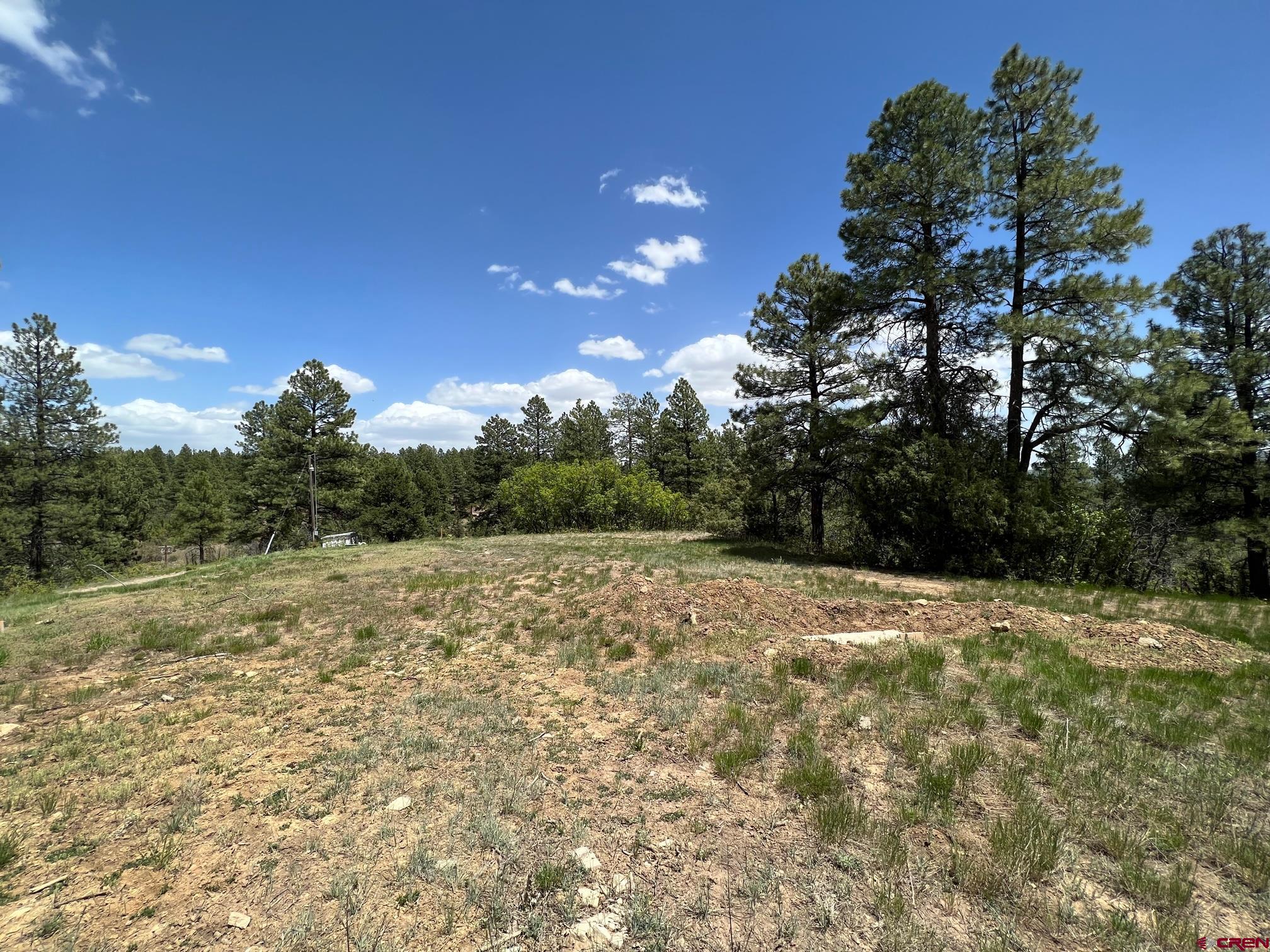 102 South Fork Road Durango, CO 81303 - Photo 3 of 14 a view of a yard with trees
