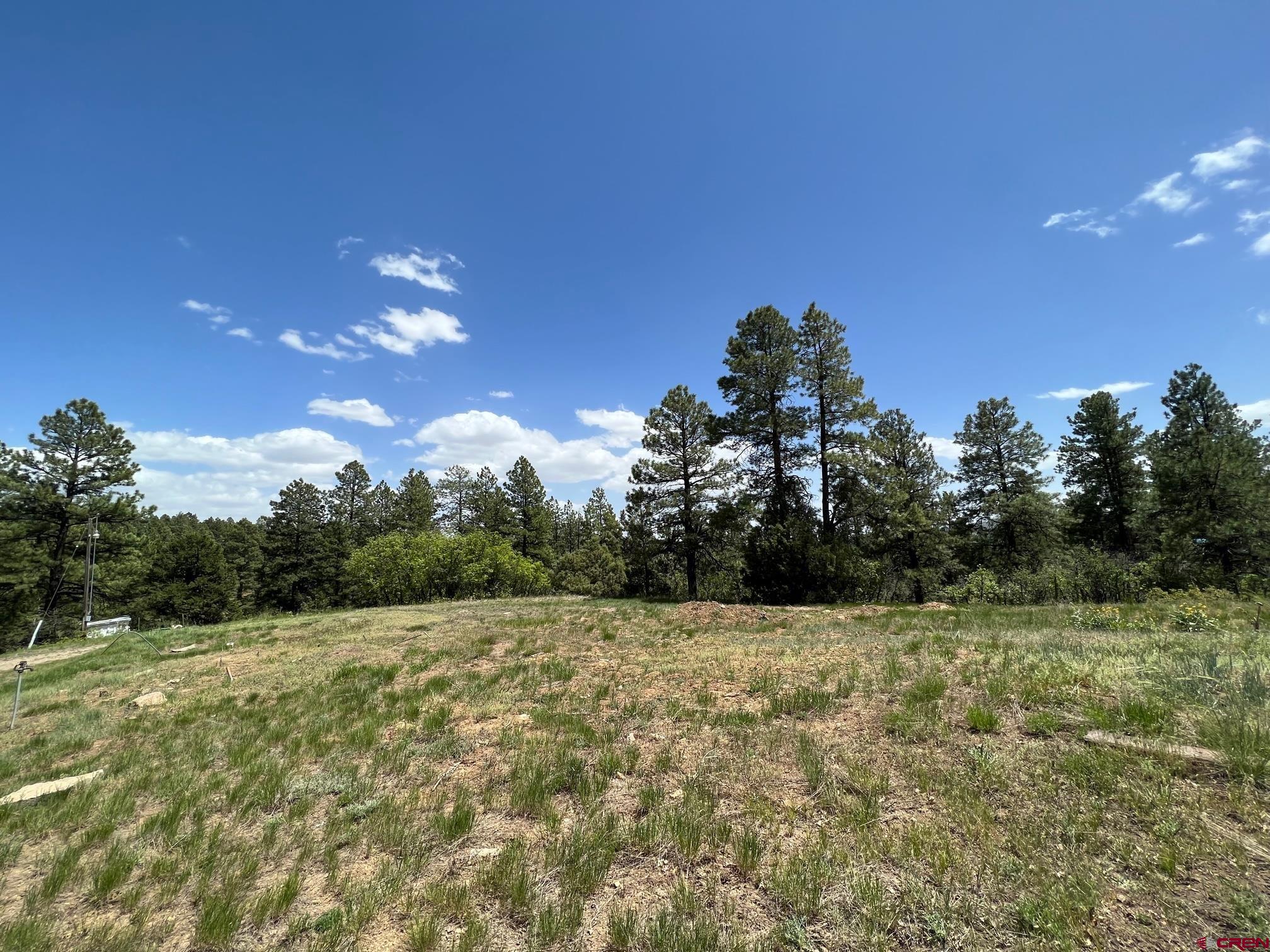 102 South Fork Road Durango, CO 81303 - Photo 4 of 14 a backyard of a house with lots of green space