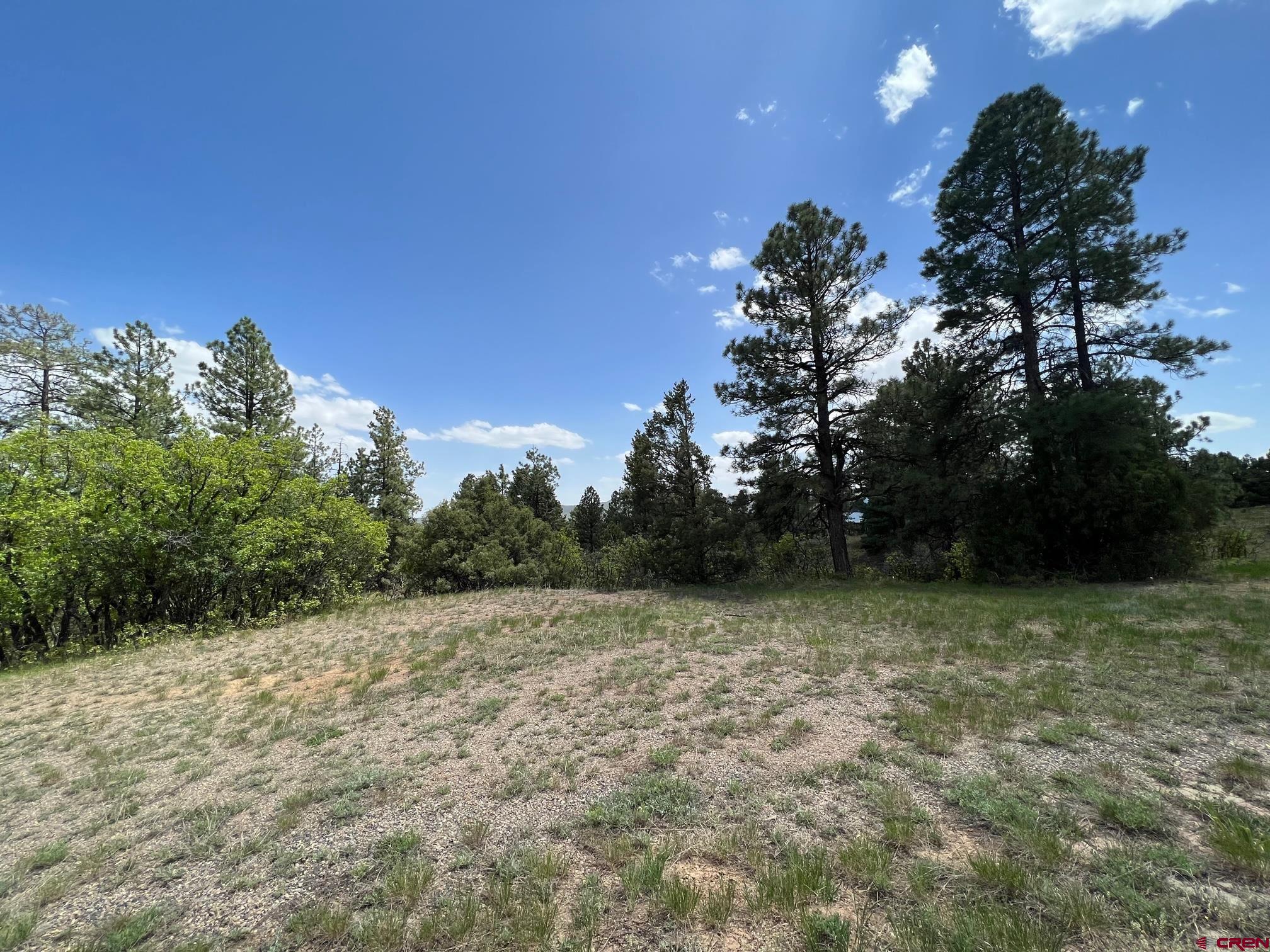 102 South Fork Road Durango, CO 81303 - Photo 5 of 14 a view of a green field with lots of trees