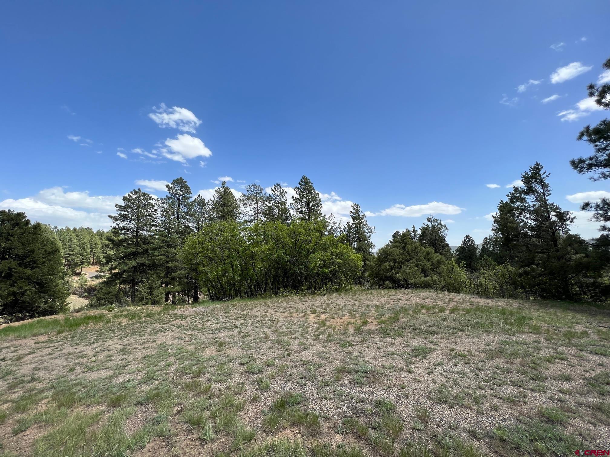 102 South Fork Road Durango, CO 81303 - Photo 6 of 14 a view of a field