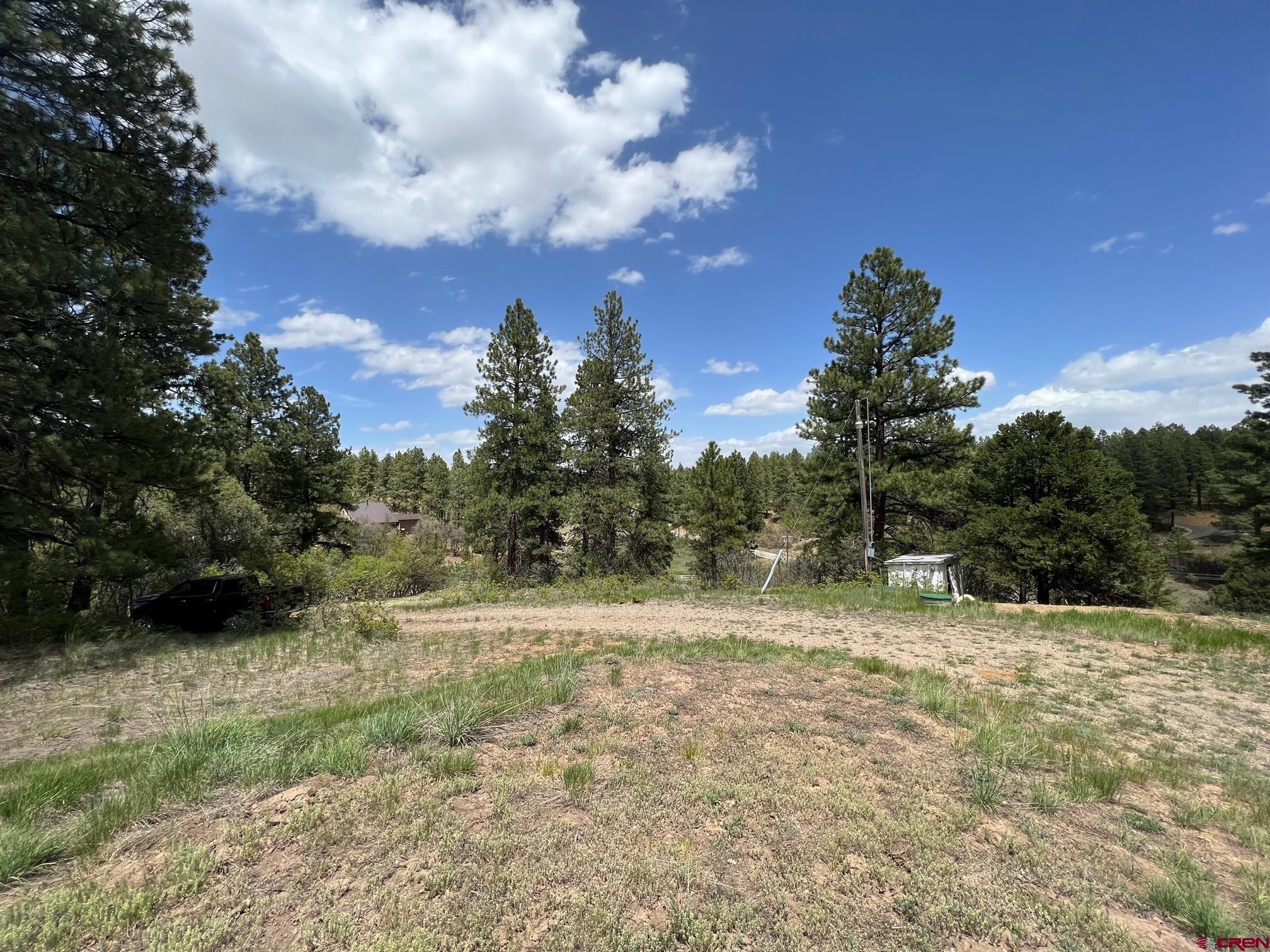 102 South Fork Road Durango, CO 81303 - Photo 7 of 14 a backyard of a house with lots of green space