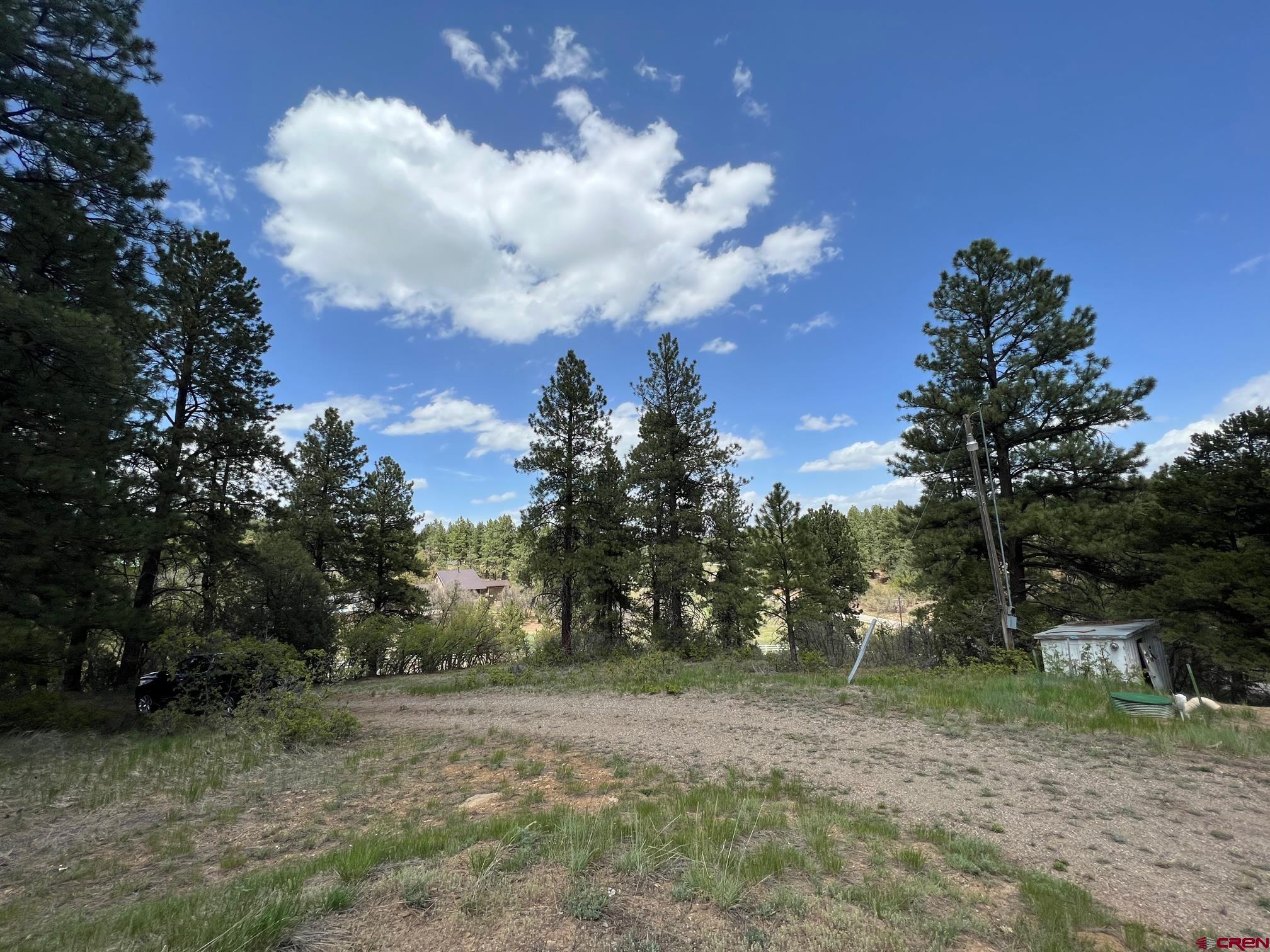 102 South Fork Road Durango, CO 81303 - Photo 8 of 14 a view of a yard with trees in the background