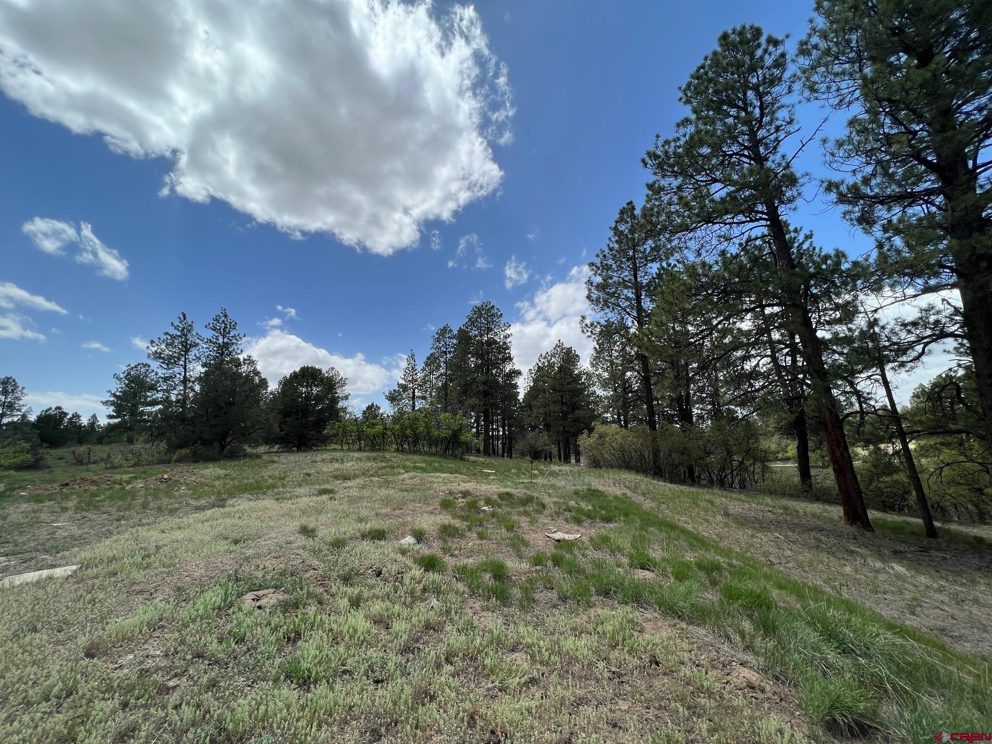 102 South Fork Road Durango, CO 81303 - Photo 9 of 14 a view of a field with trees
