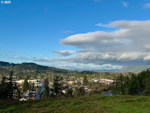 870 Kristen Way Cottage Grove, OR 97424 - Photo 3 of 45