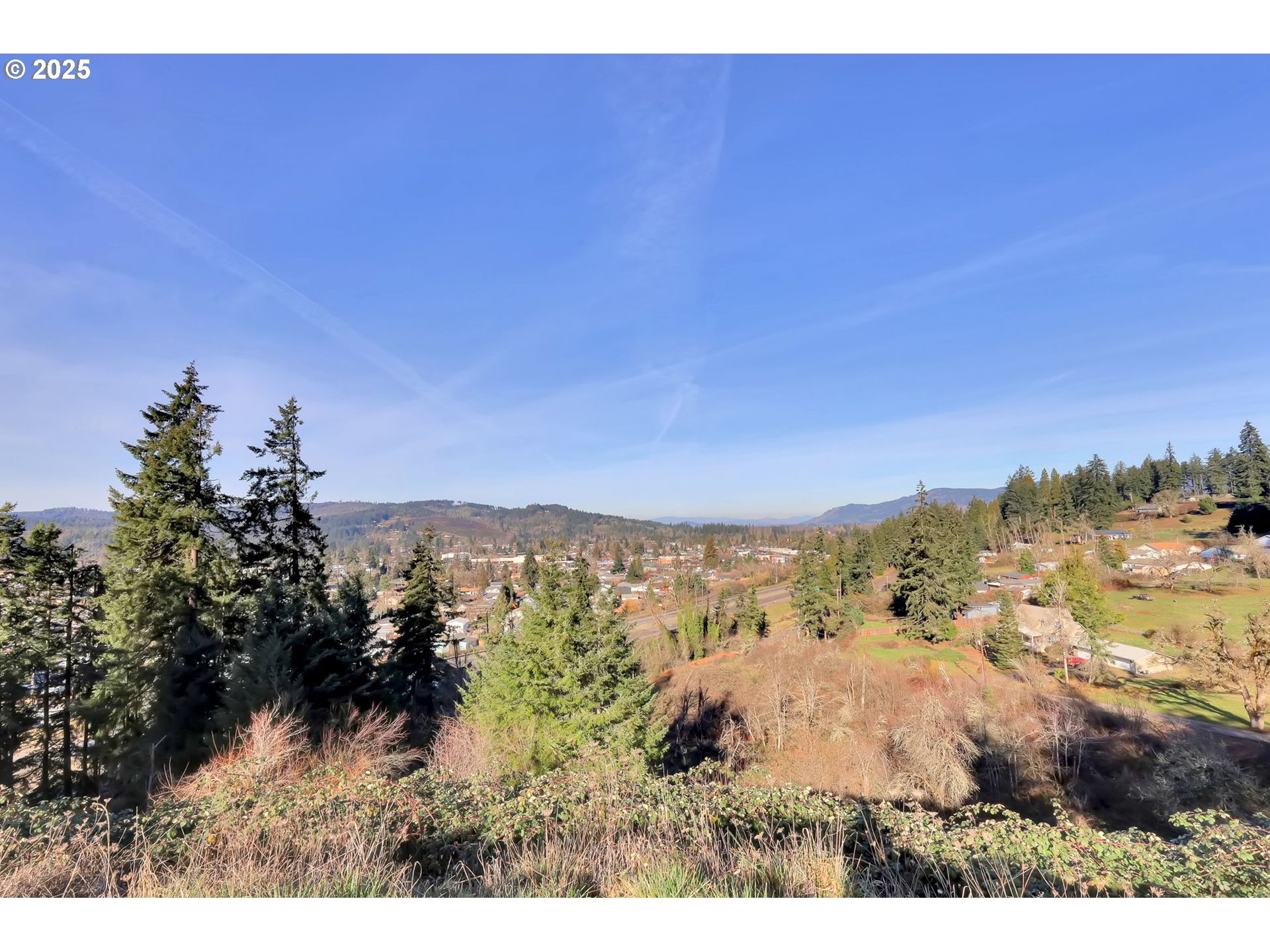 870 Kristen Way Cottage Grove, OR 97424 - Photo 45 of 45