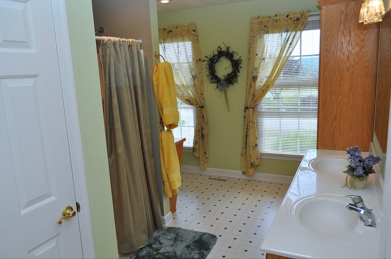 1167 Factory Hill Road Callaway, VA 24067 - Photo 49 of 80 a bathroom with a tub and a sink