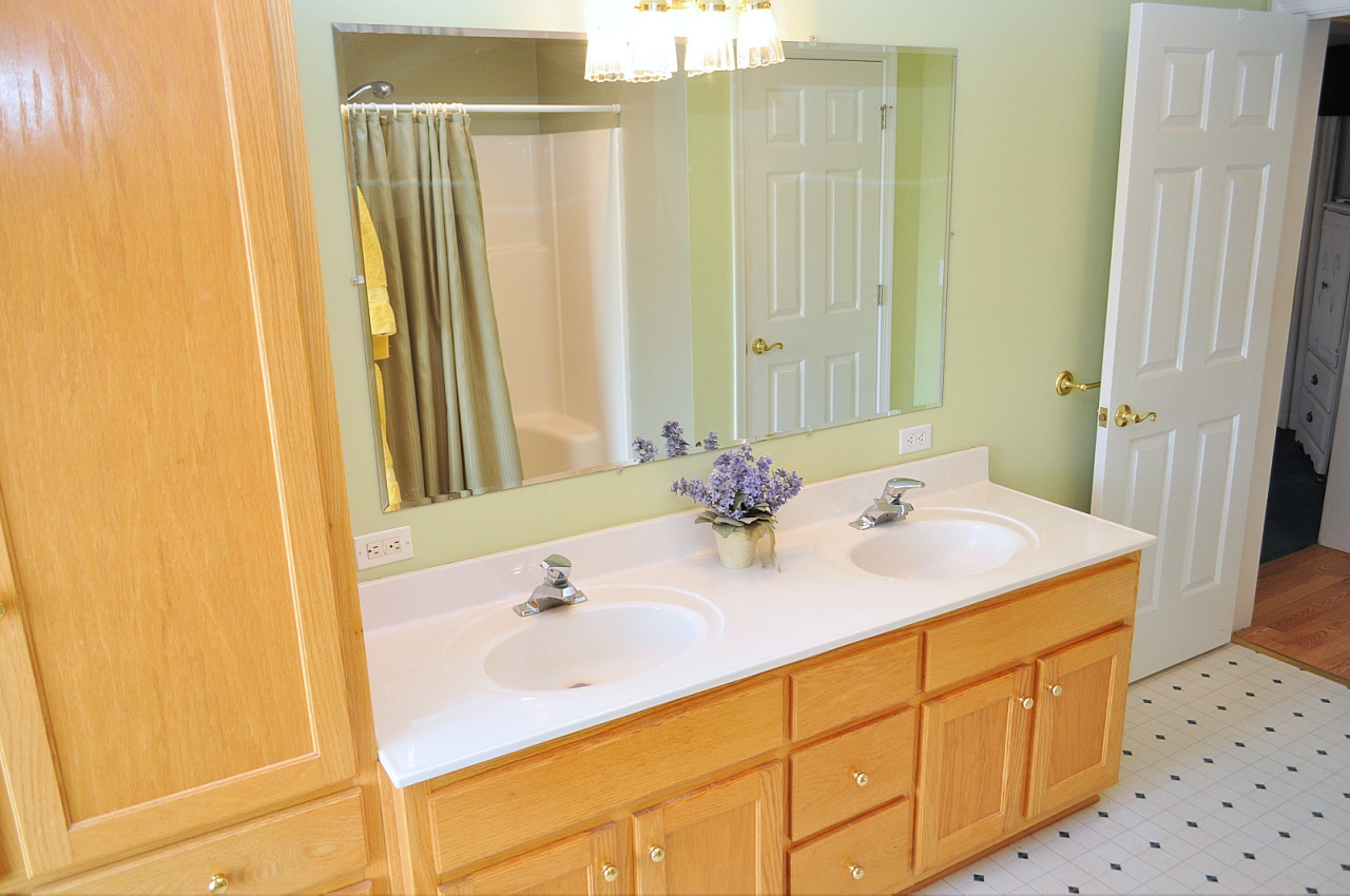 1167 Factory Hill Road Callaway, VA 24067 - Photo 53 of 80 a bathroom with a sink and a mirror
