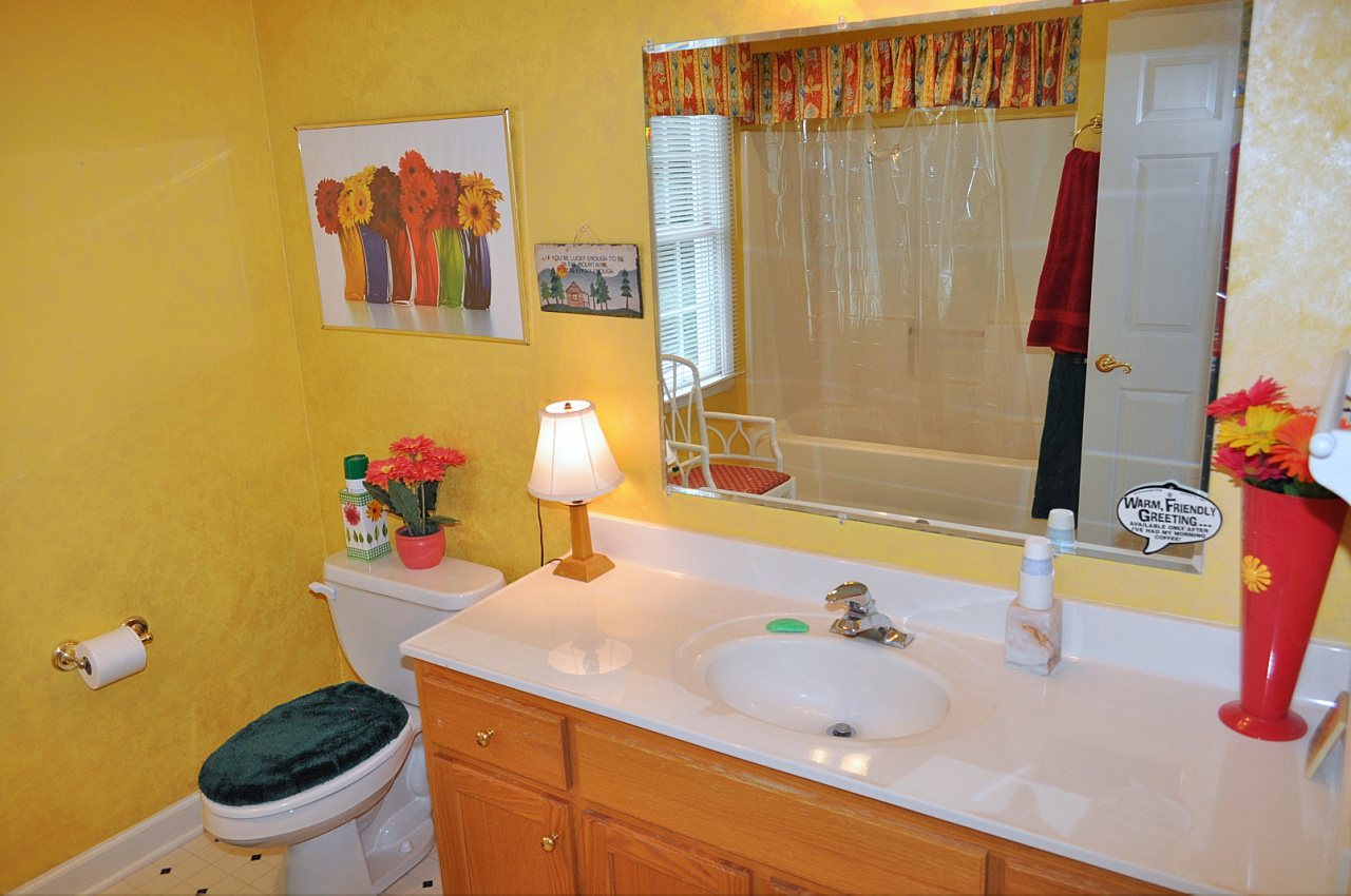 1167 Factory Hill Road Callaway, VA 24067 - Photo 61 of 80 a bathroom with a sink and a toilet